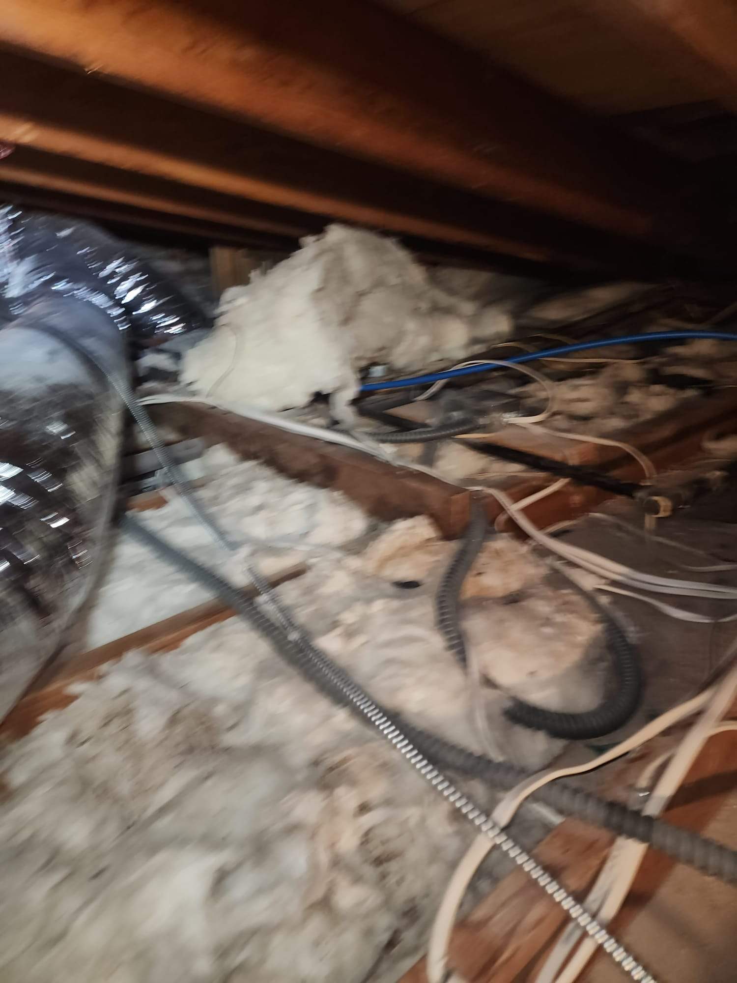 Project in Los Angeles by Advanced Attic Solutions