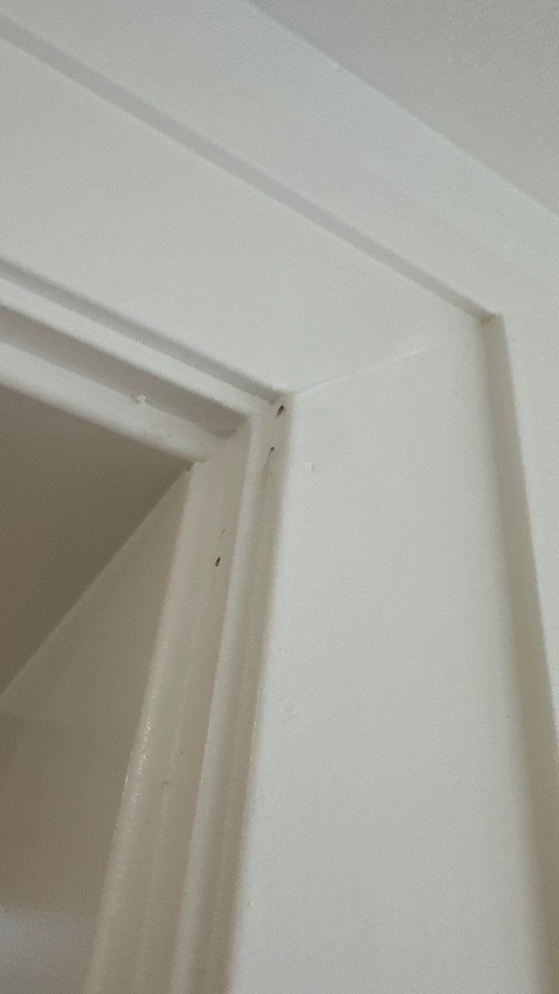 Project in Millcreek by Rudd Builders LLC