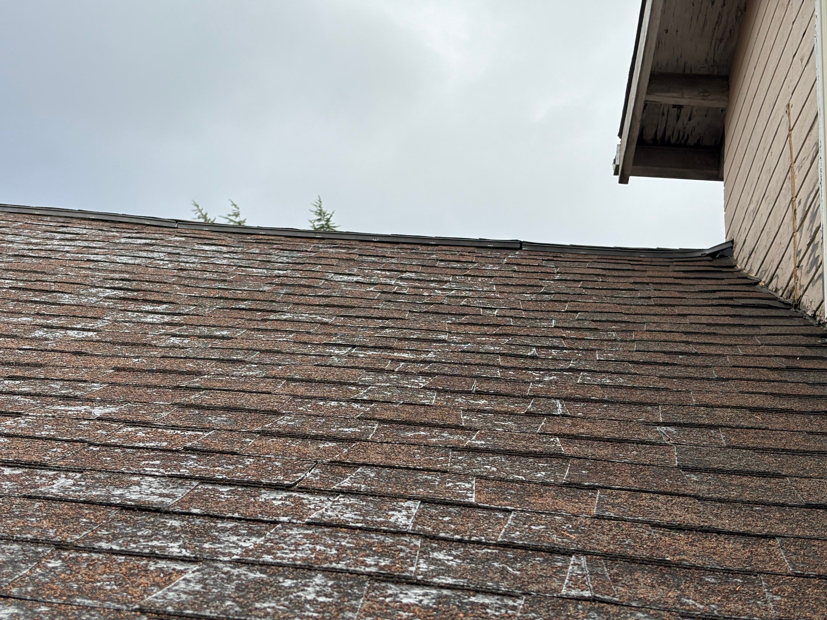 Reroof, Gutters, and Repair by Hawthorne General Construction