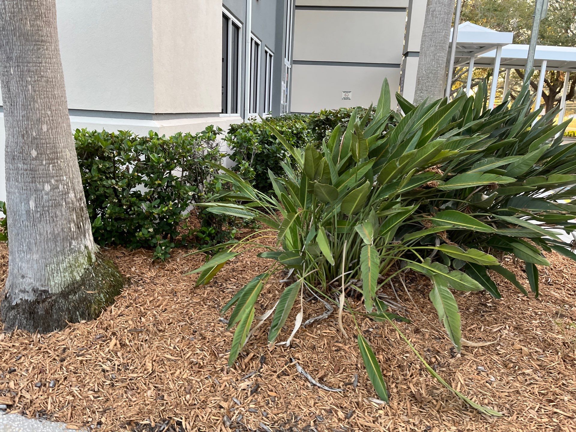 Aluminum Gutters in Sarasota FL by Gutter Professors