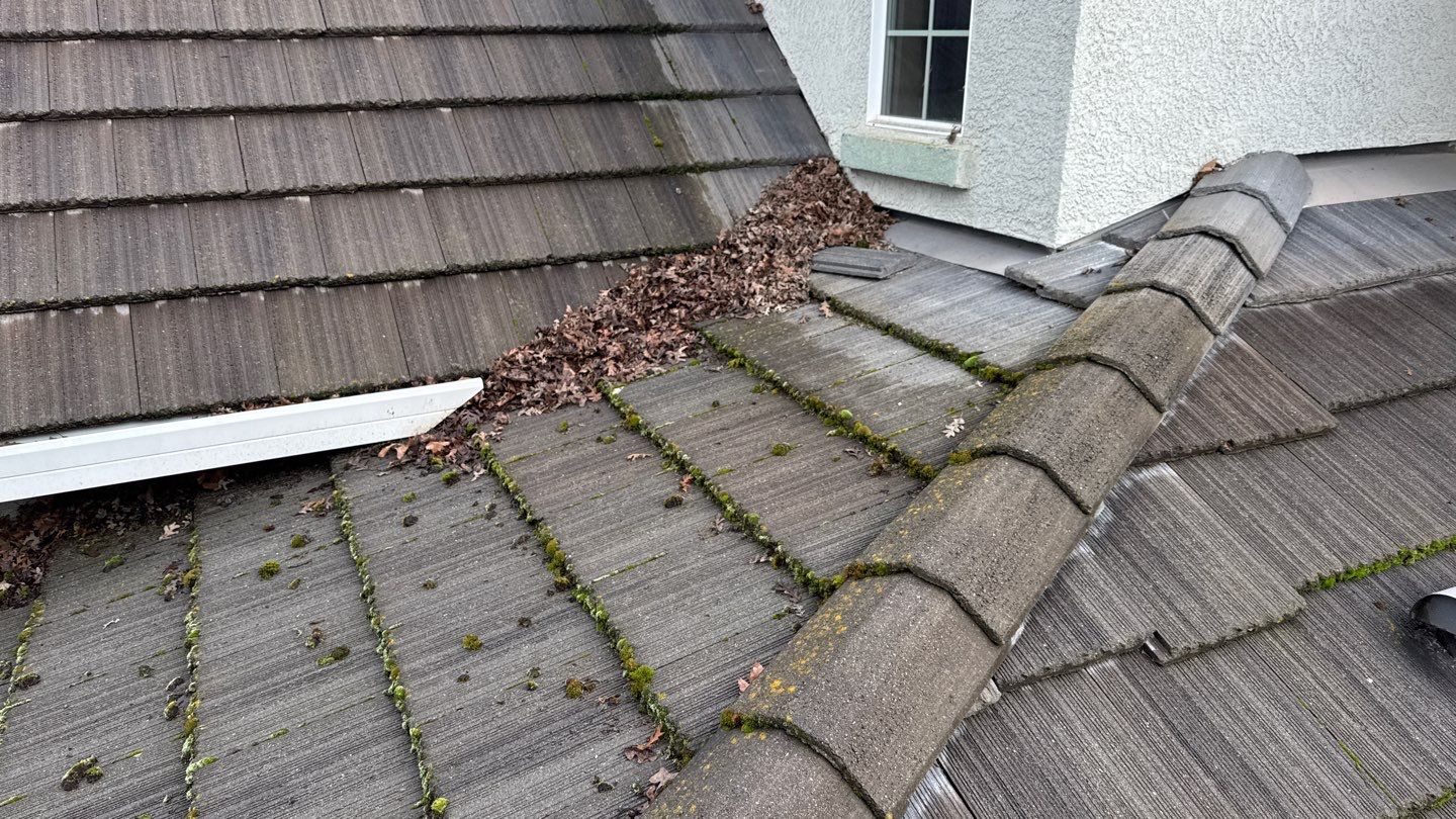 Project by NuLead Construction Inc by NuLead Construction Inc