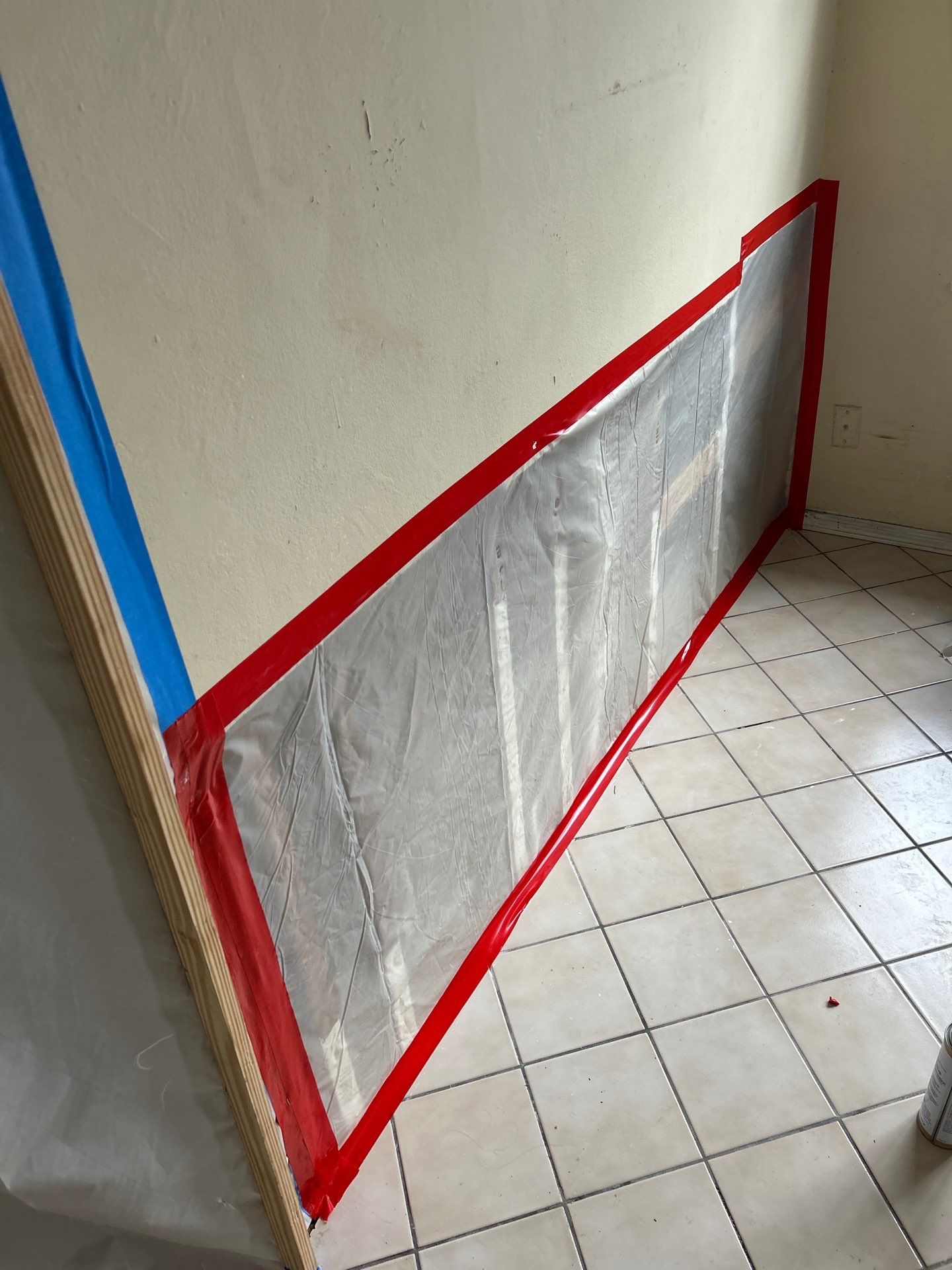 Mold Remediation  by THE RAPID TEAM