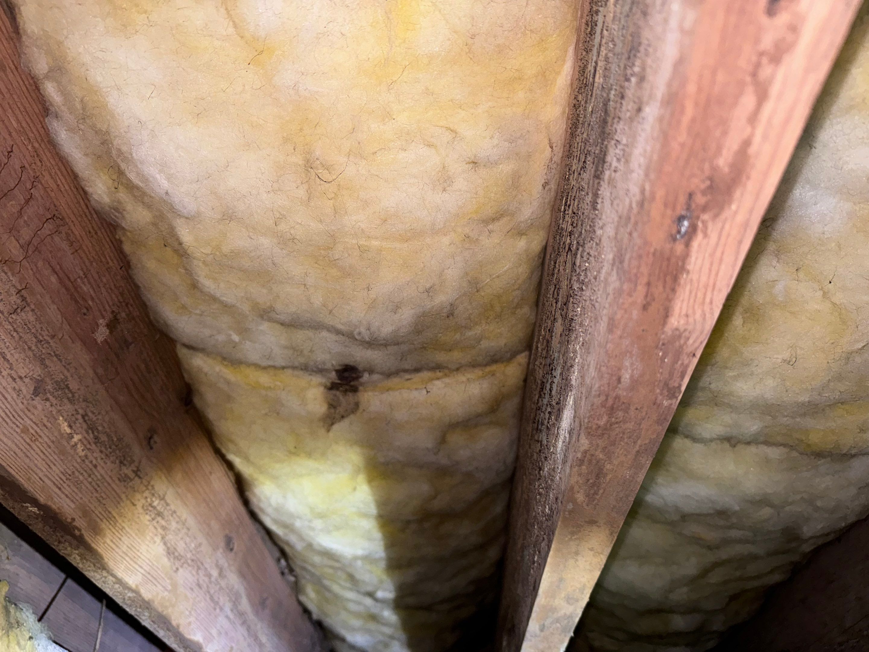 Impact Choice Encapsulation with 20Mil and Tri-Plex insulation. by Impact Crawlspace