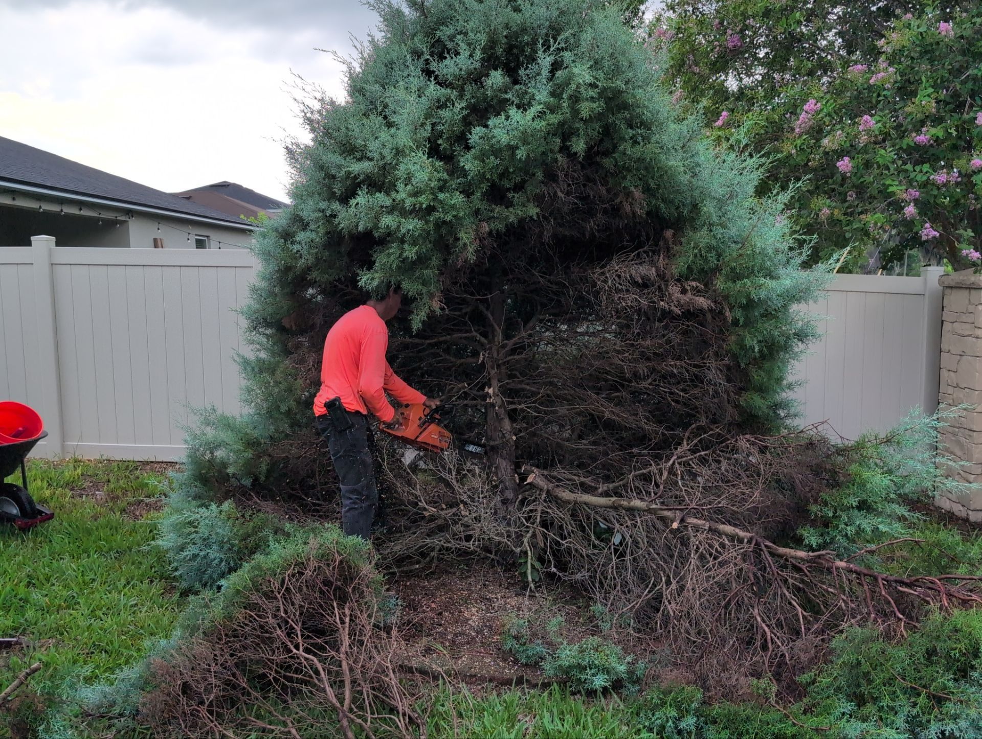 Tree Removal by 
M.A.B. Landscaping & Property Maintenance