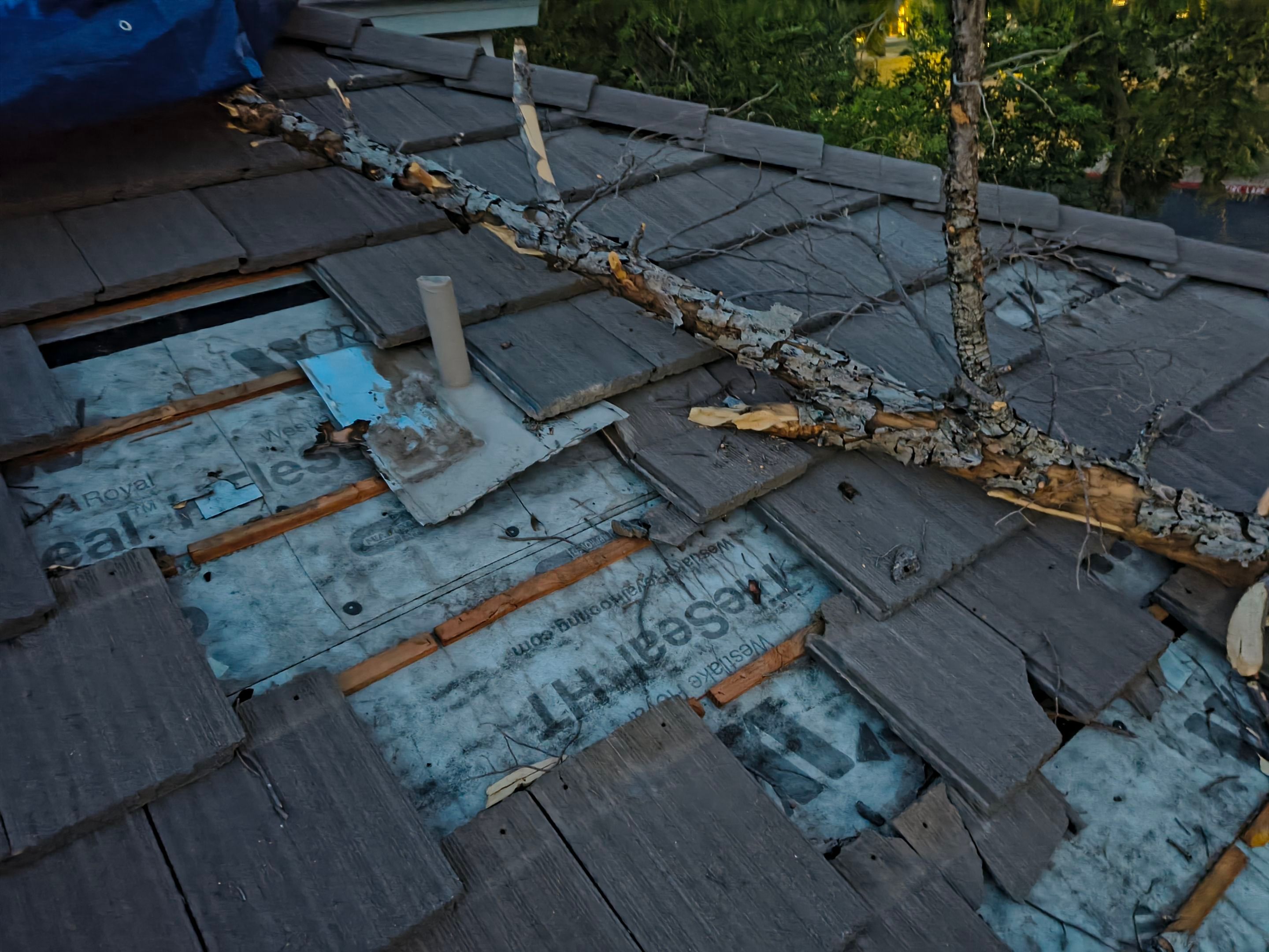 Monsoons storm blew tree down in Mesa, AZ by APM Builders LLC