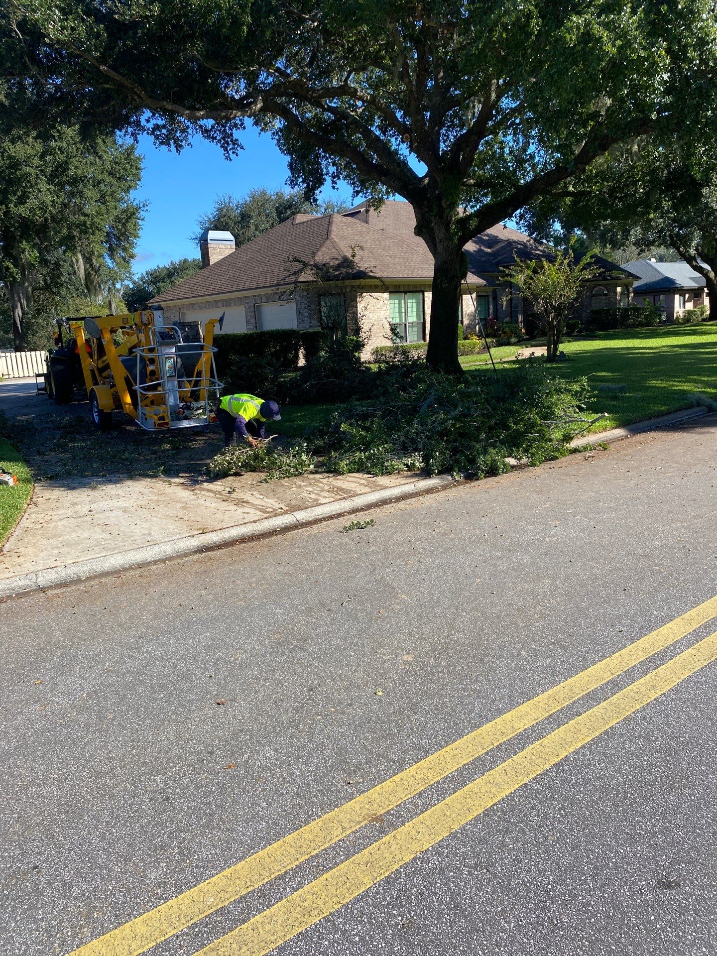 Deerwood | Tree Trimming & Sod Install | Residential by ProGreen Services