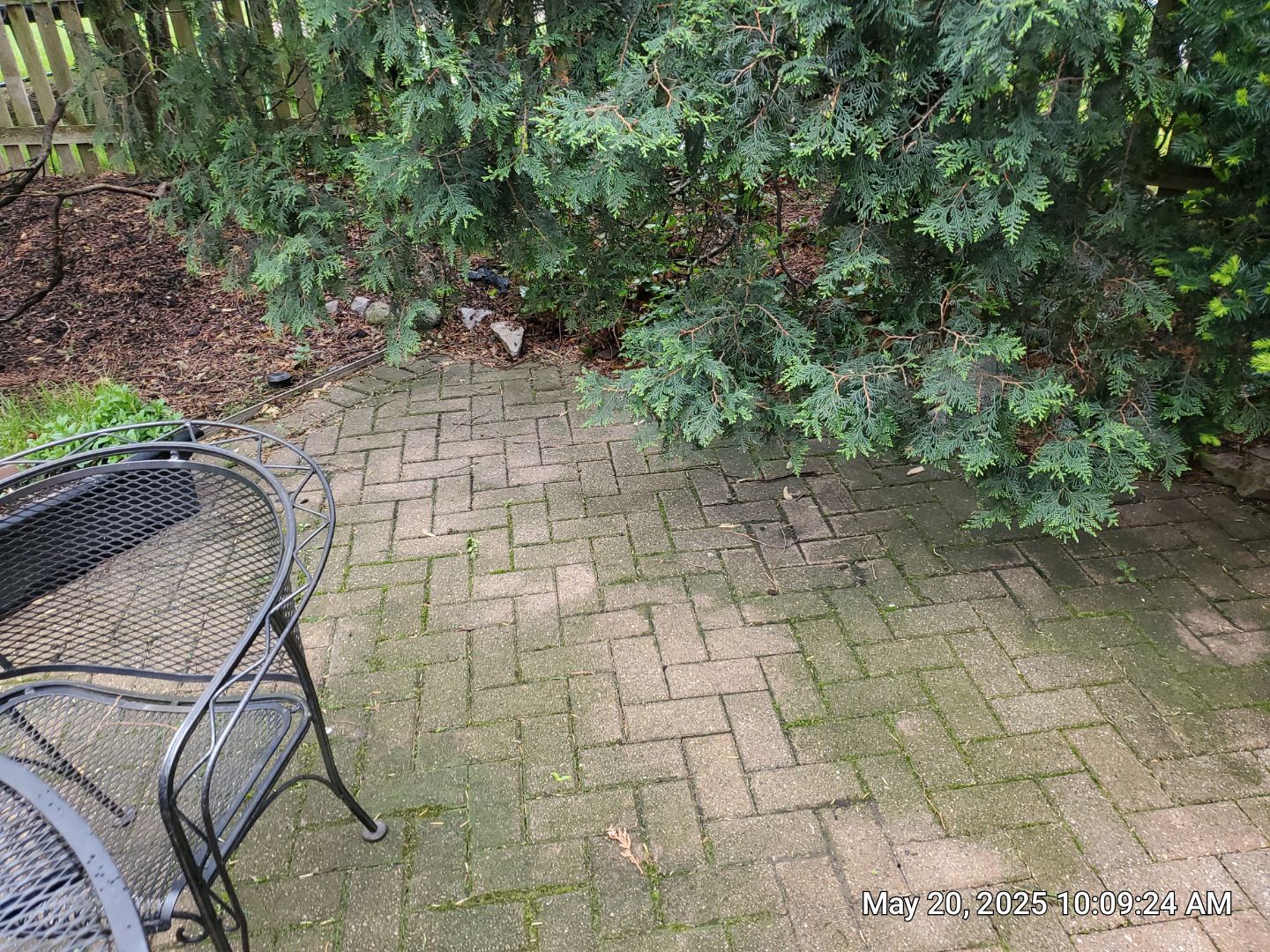 Brick paver cleaning  by Northern Power Washing LLC.