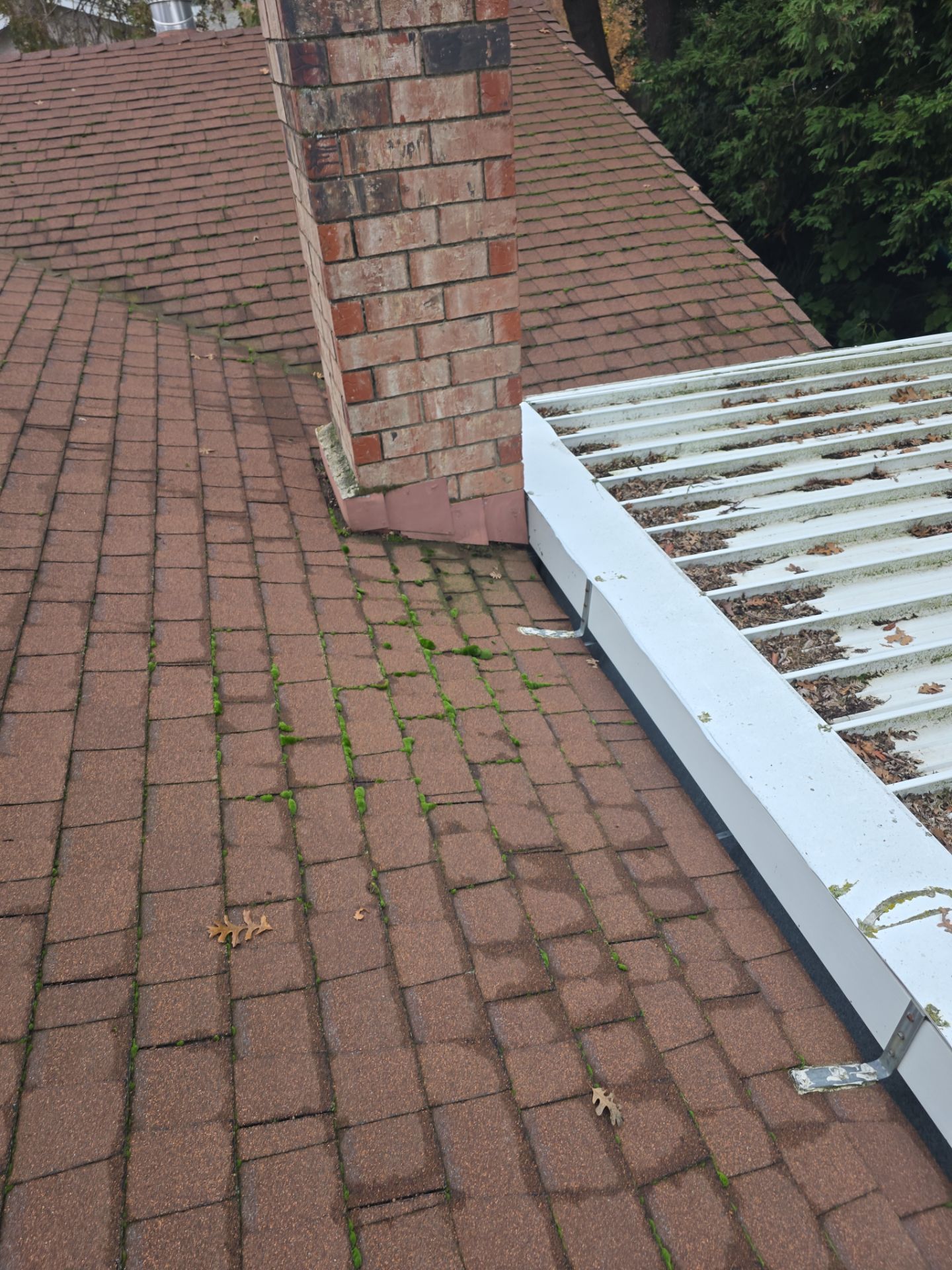 Roof Rejuvenation using Roof Maxx Treatment by Roof Maxx of Folsom