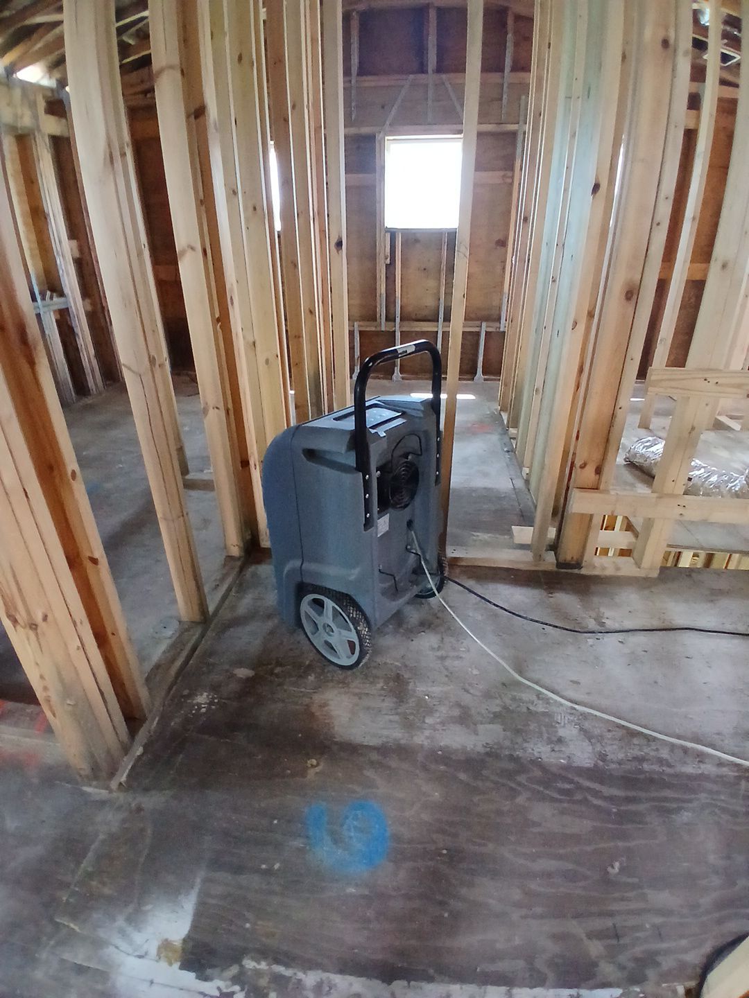 Anna Maria Mold Remediation by Ampm Restoration Services