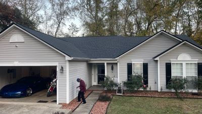 Roof replacement by wind damage and tree felling