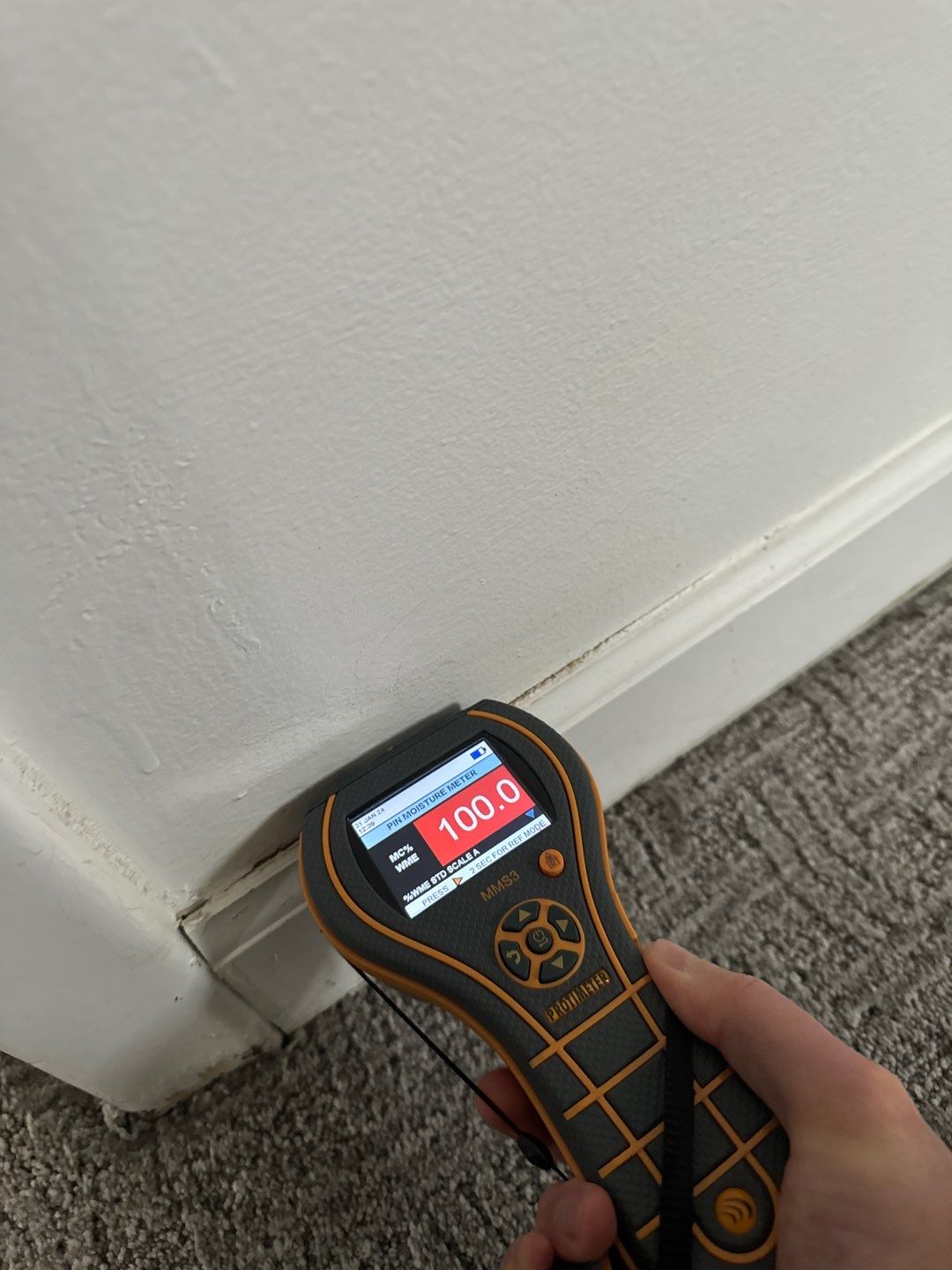 Project in Royal Oak by EzDry Water Mitigation & Property Restoration