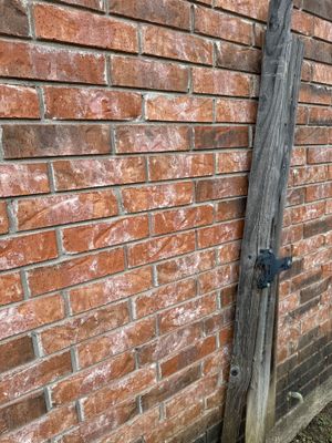 Project in Killeen