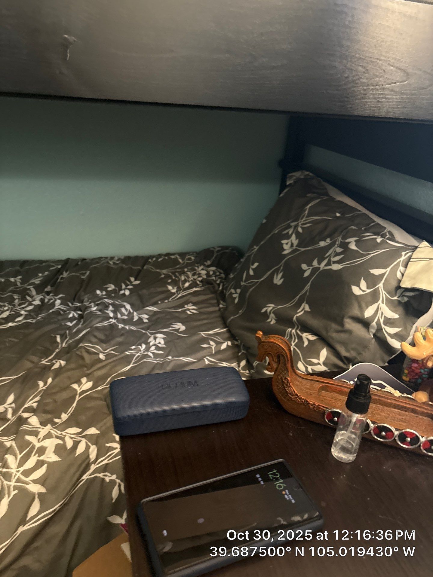 Shaggy by CompanyCam Sales Demo