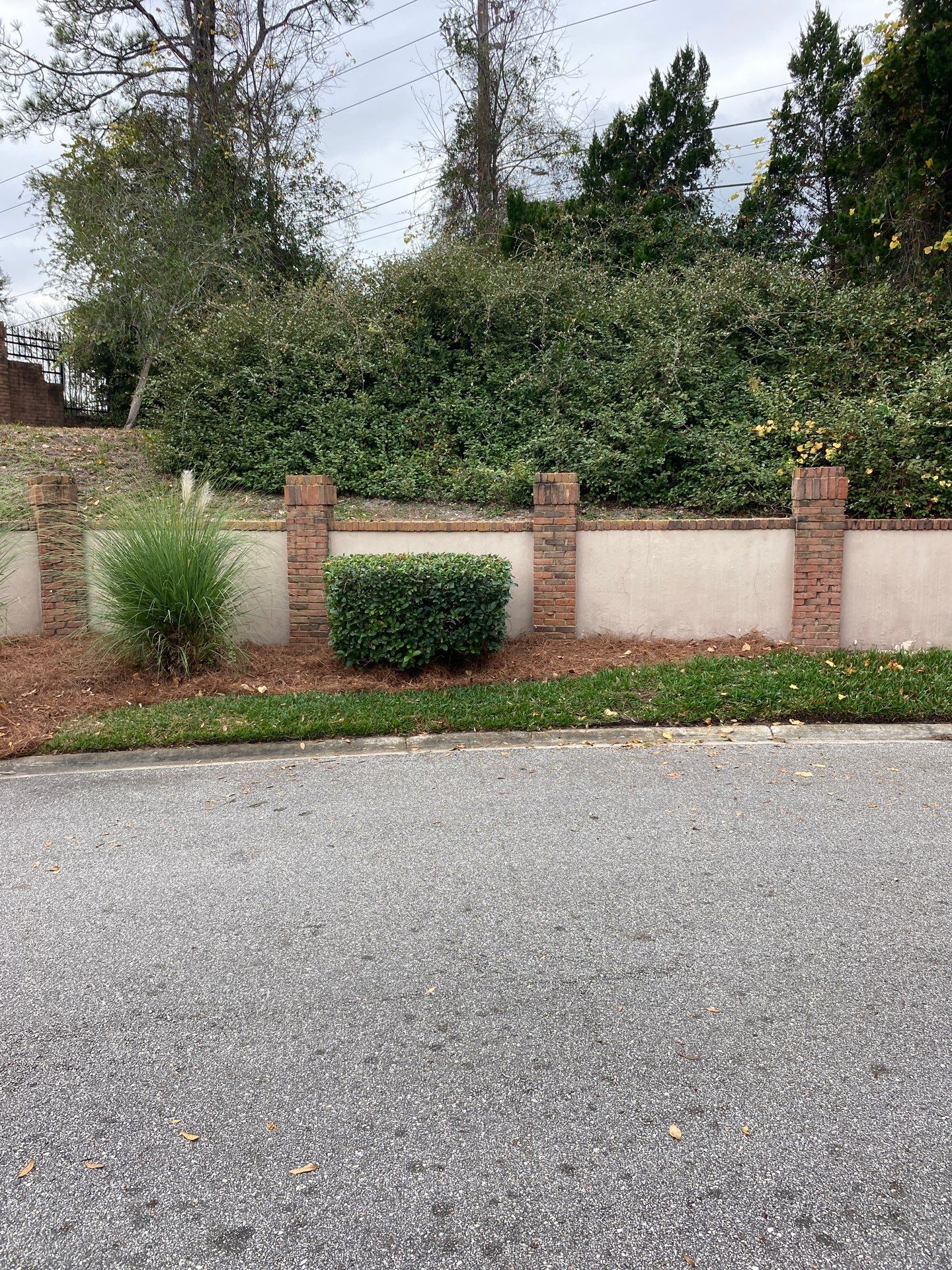 Deerwood Pointe | Tree Removal & Pine Straw Installation by ProGreen Services