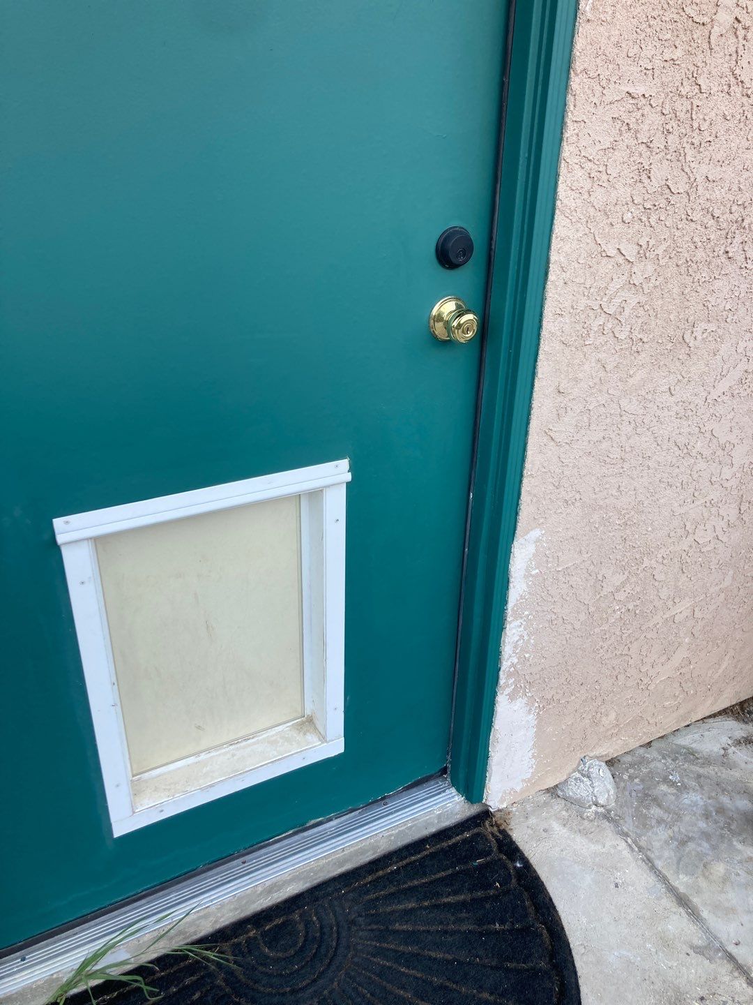 Repair Door Face by Andre Handyman