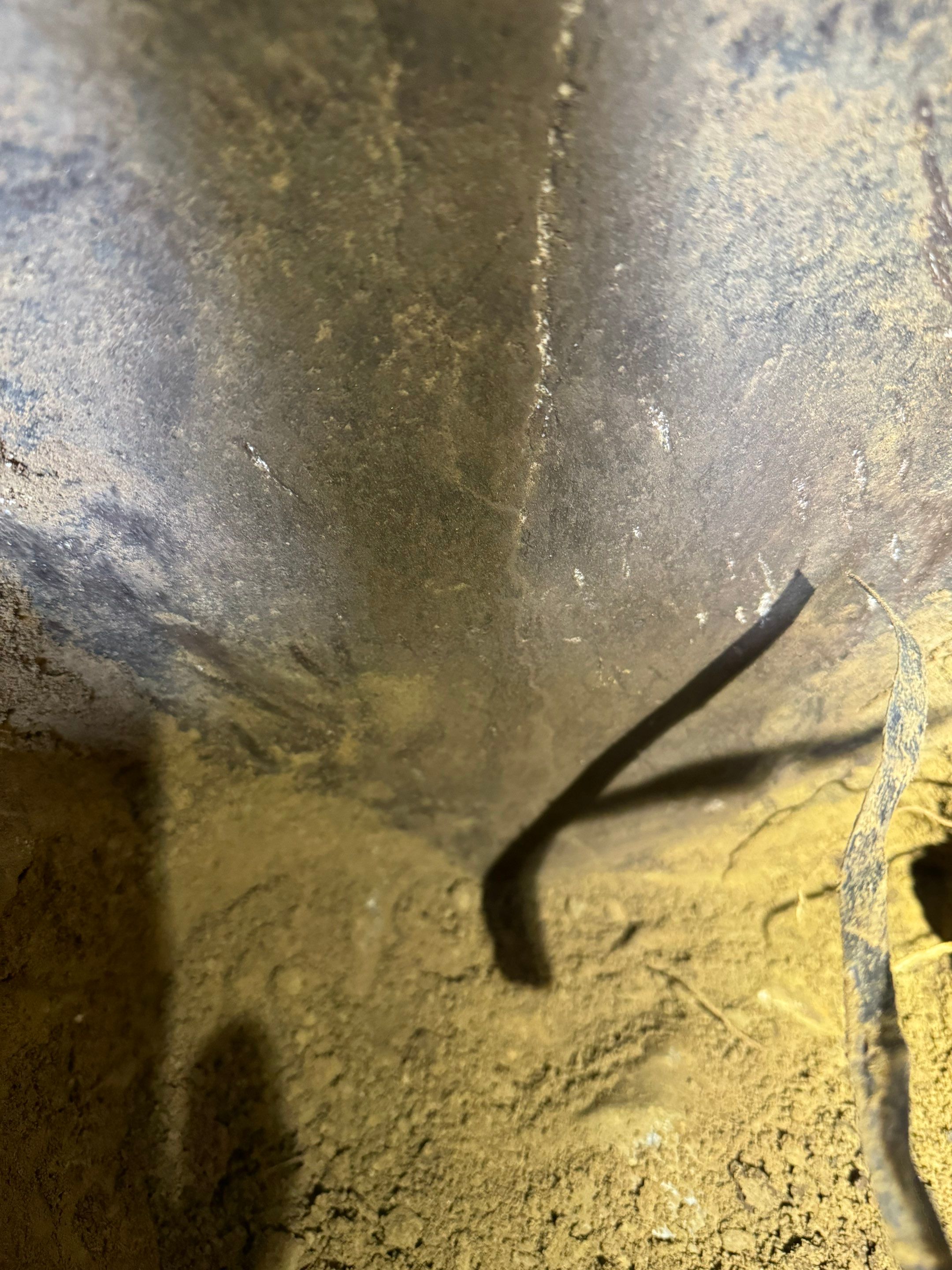 Basement & Livingroom Remediation by Home Guarantee, LLC