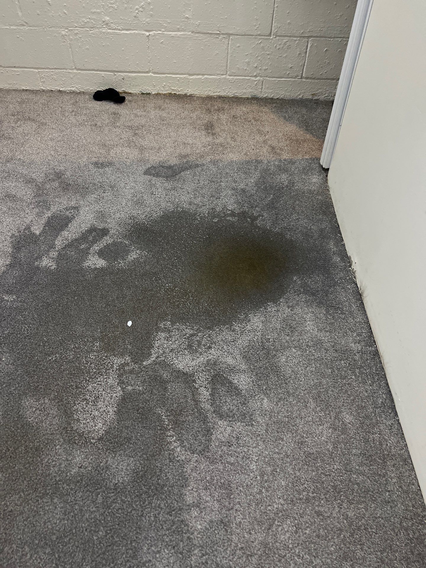 Project in Dearborn Heights by EzDry Water Mitigation & Property Restoration