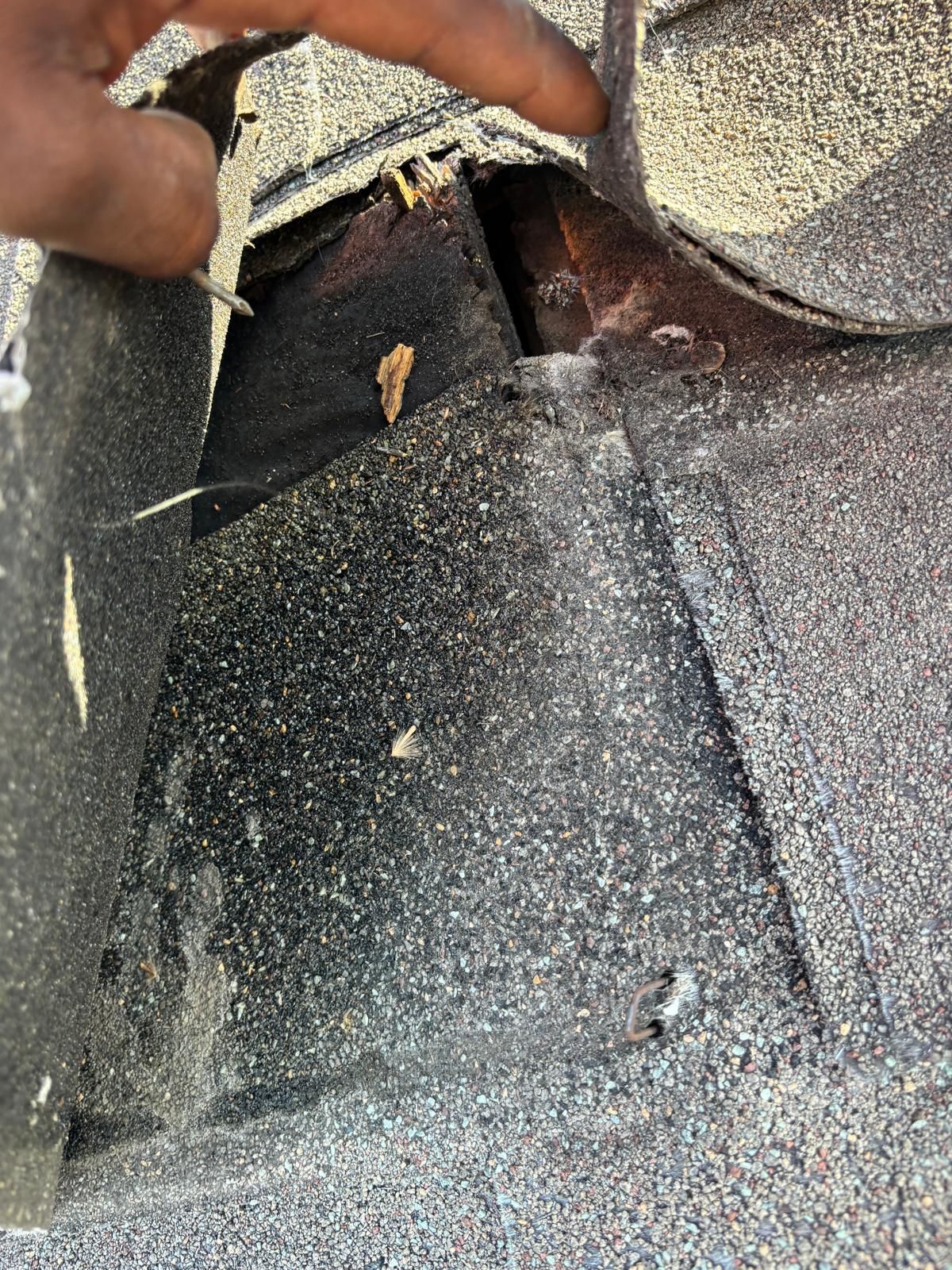 Hail Damage using Owen's Corning Duration (Lifetime) Shingles by Roof Repair Company