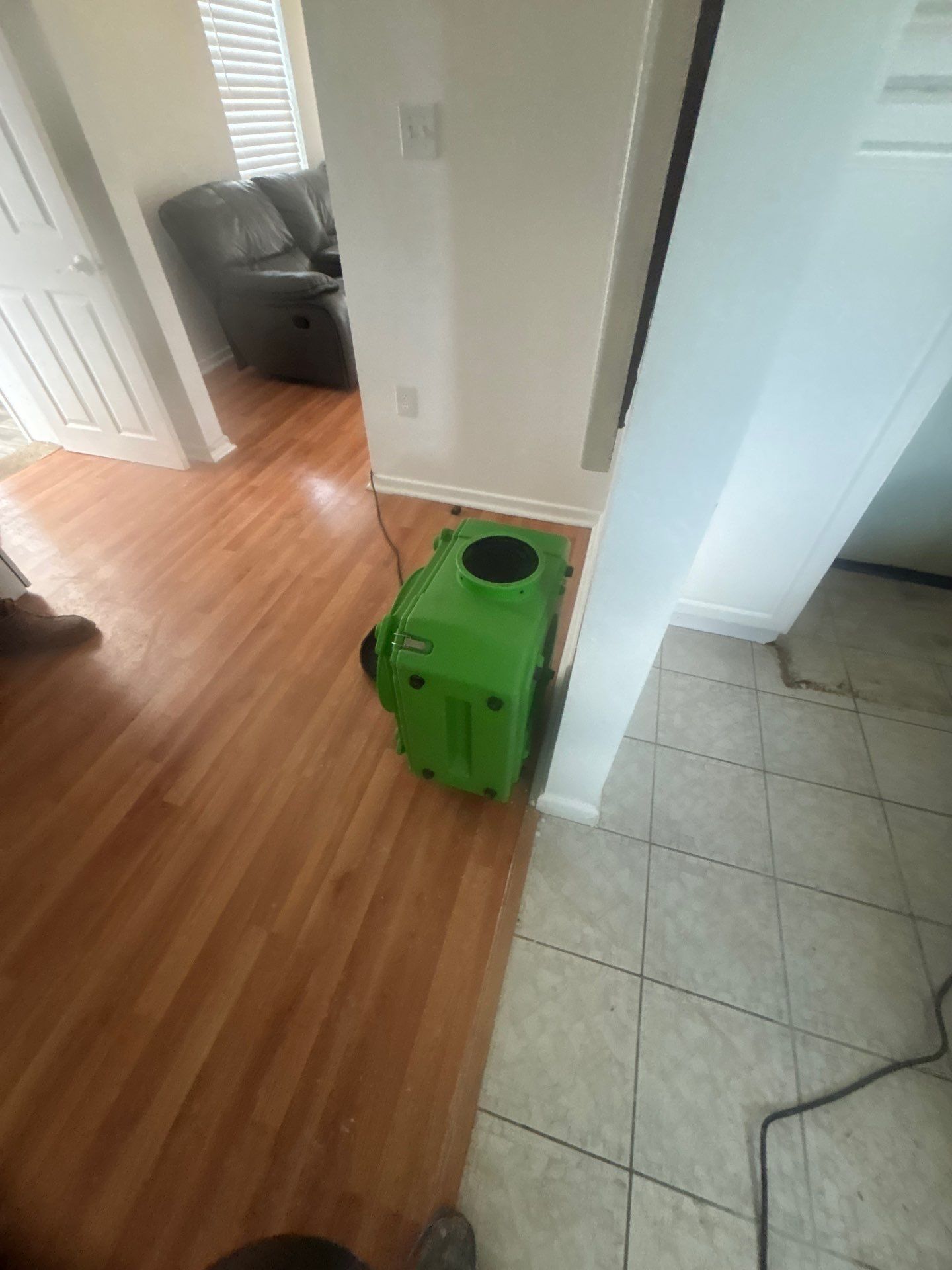 Mold Inspection & Removal by Ampm Restoration Services