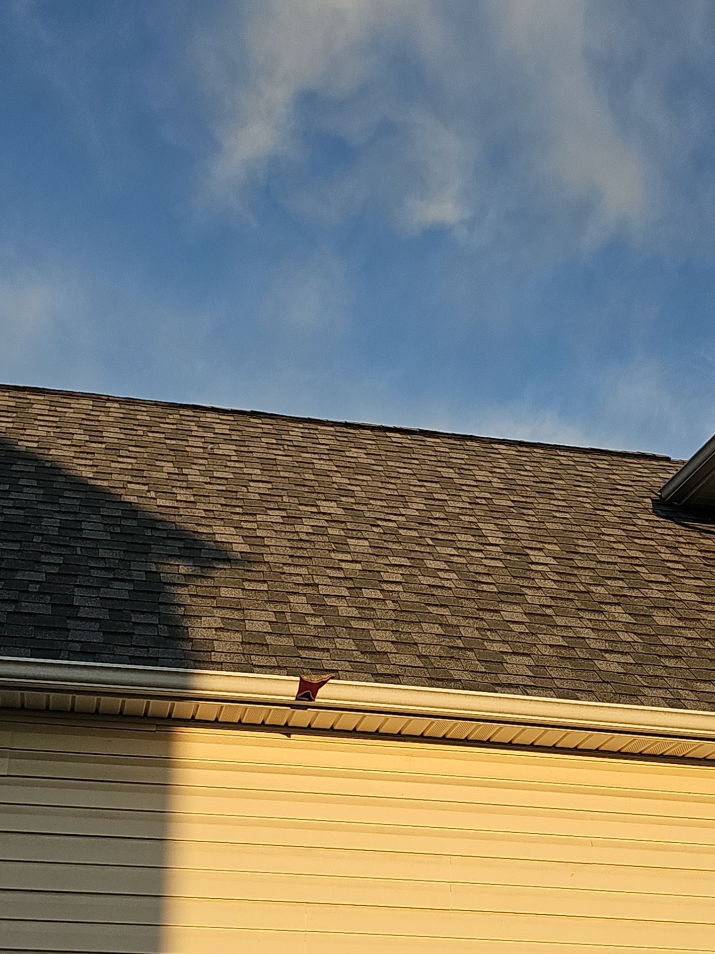 Roof Repair by Winchester Roofing