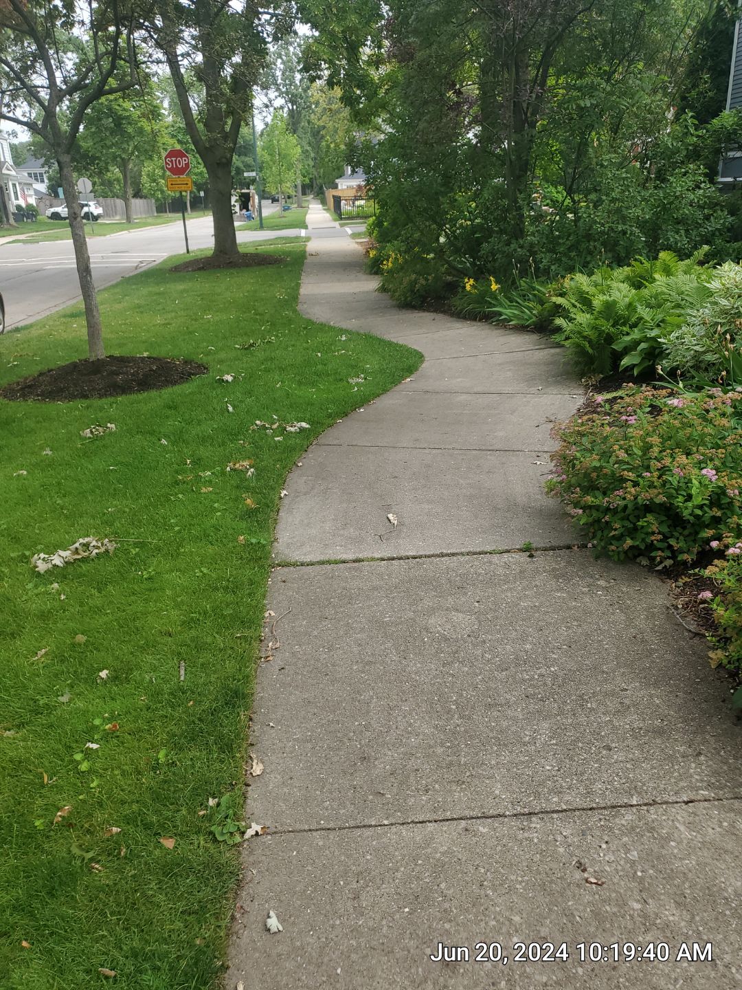 concrete cleaning using Algaecide, soft wash soap by Northern Power Washing LLC.