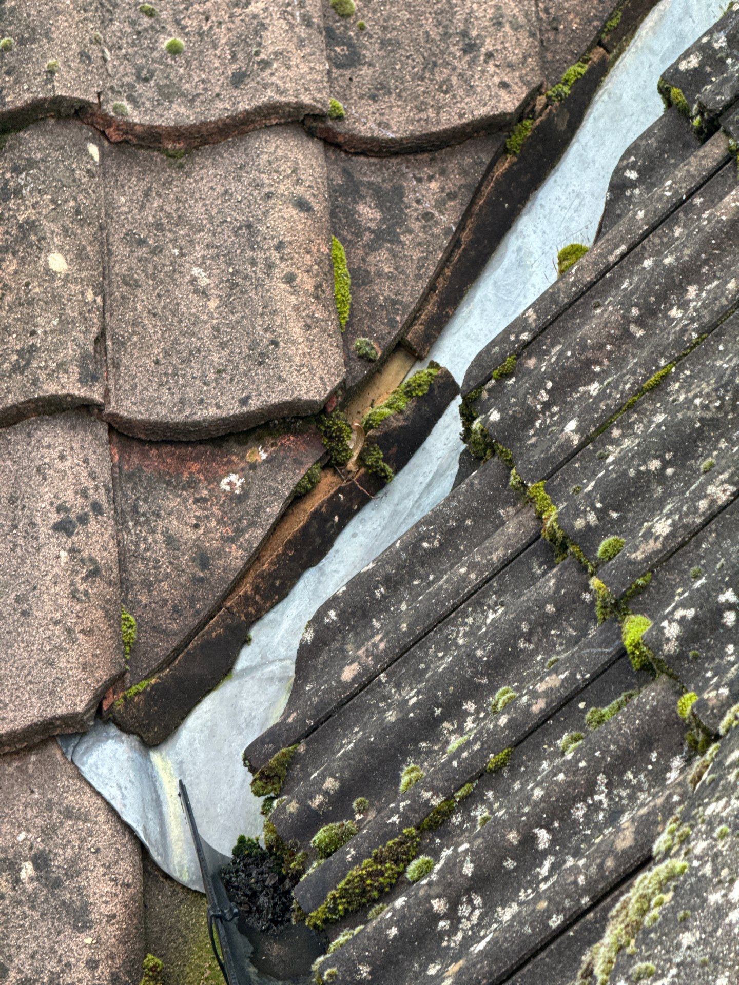 Roof Clean  - Moss Removal - Gutter Clean using Honda 15lpm Low Pressure Washing Machine by Ges Exterior Cleaning ltd
