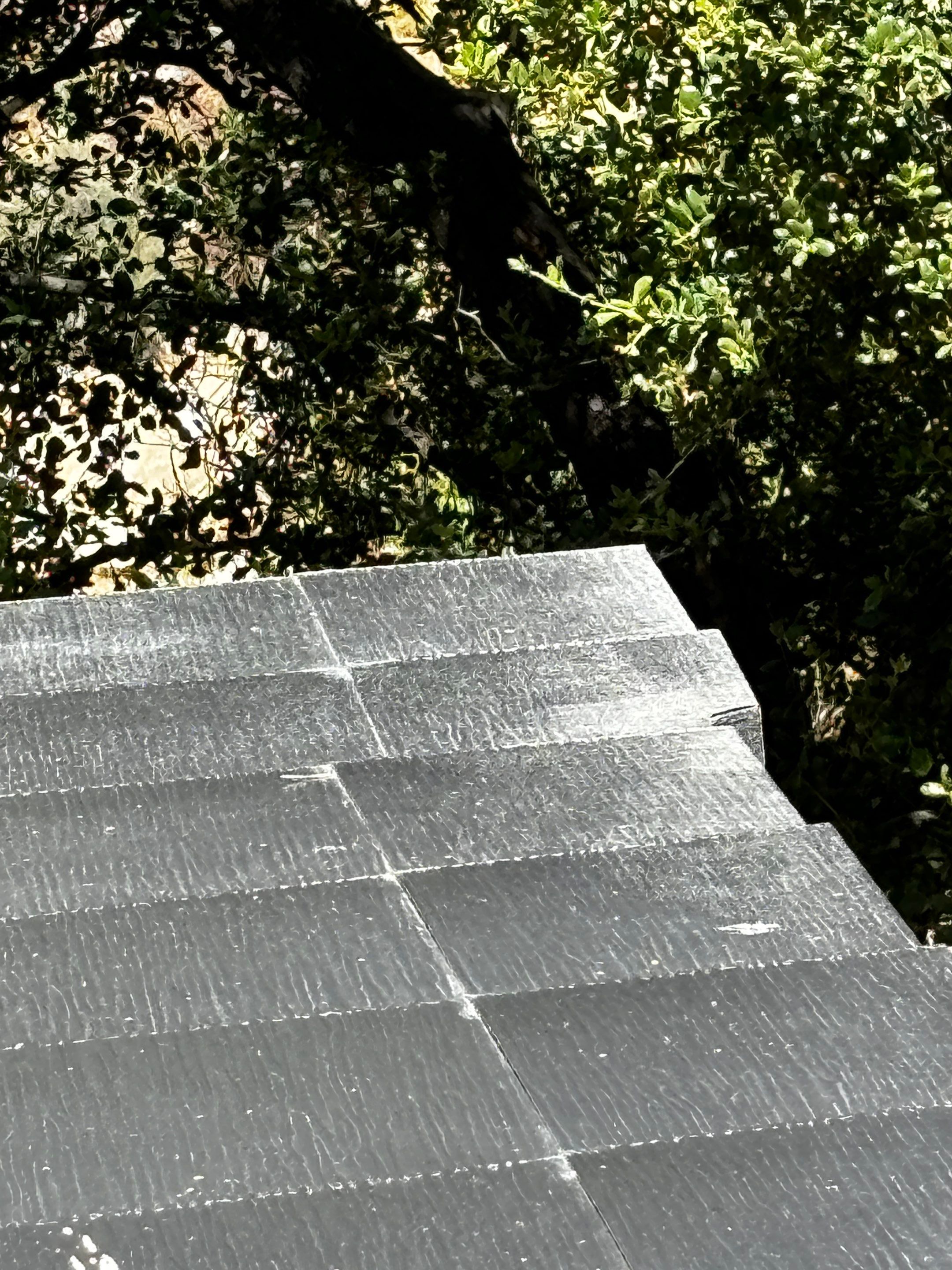 Tesla Roof Cleaning in Pasadena California by Palm Coast Solar Cleaning