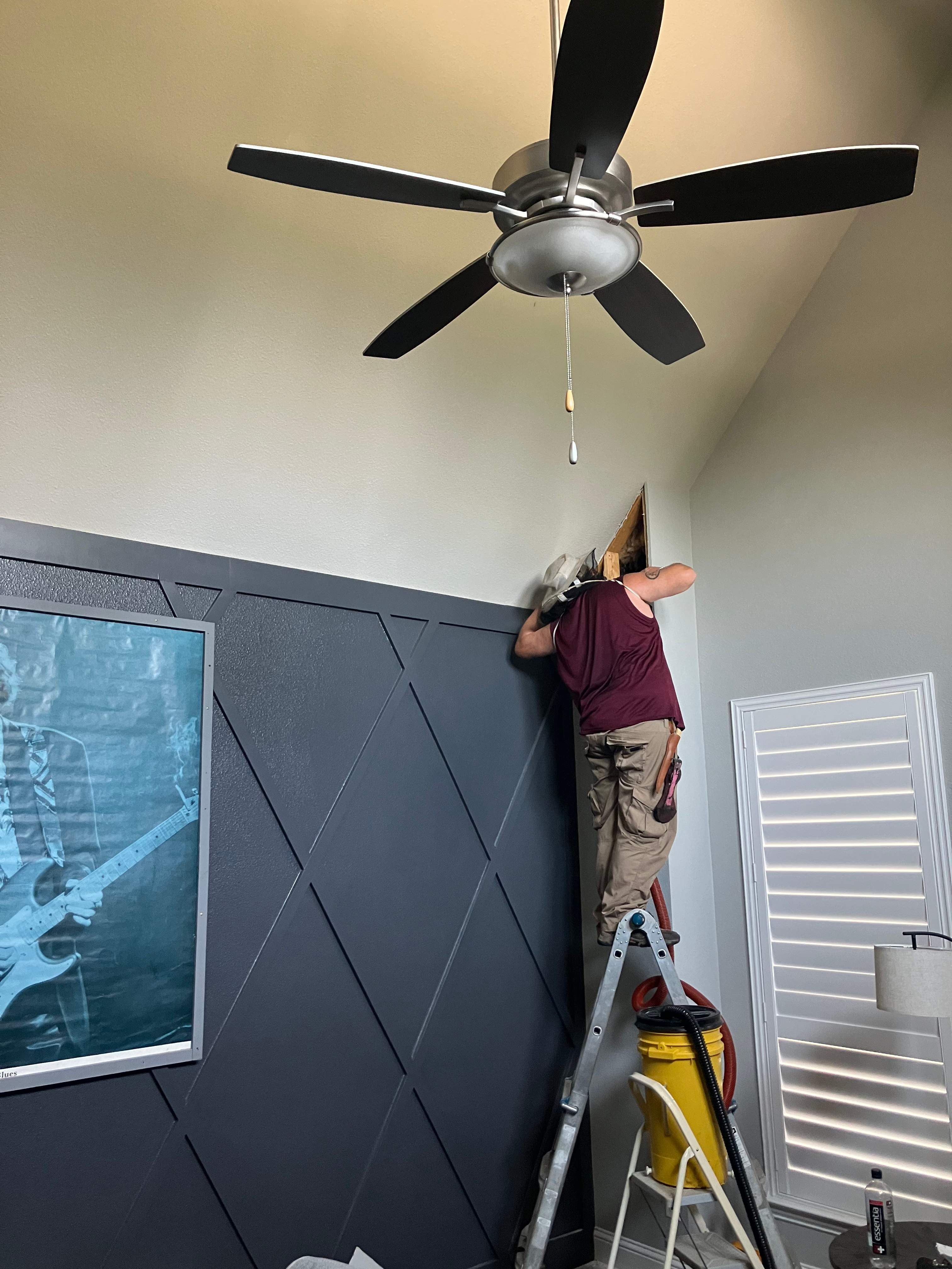 Interior Wall by Rockwall Honey Bee Company