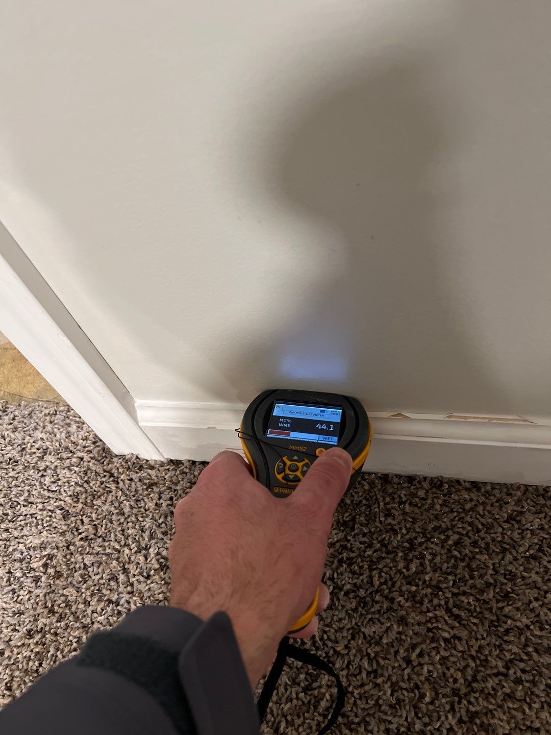 Project in Brighton by EzDry Water Mitigation & Property Restoration