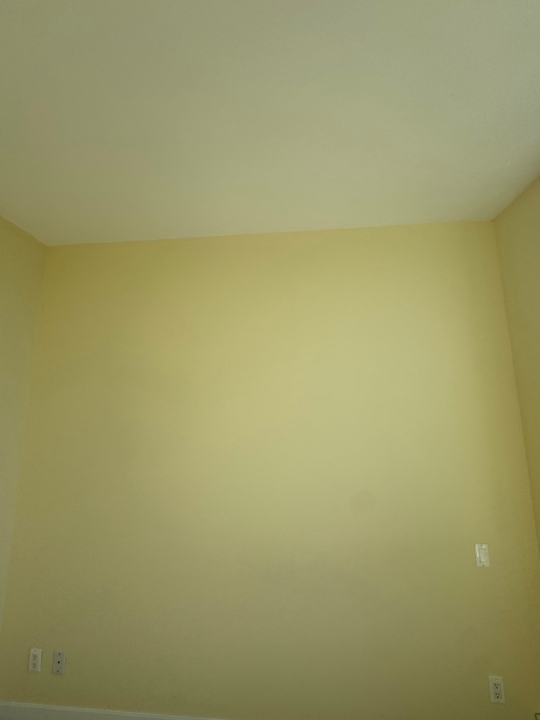 Touch up and painting project  by YVR Construction Group