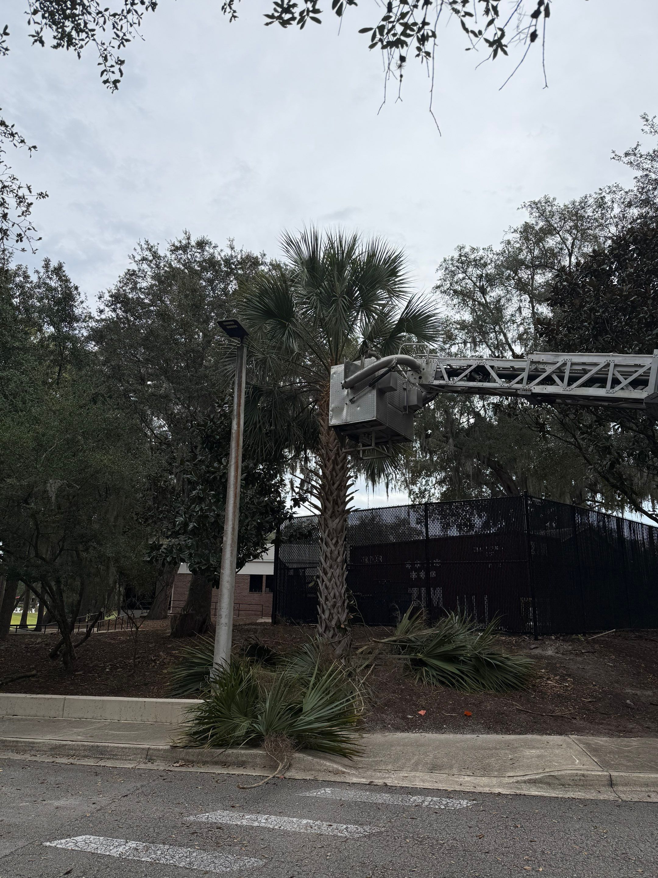 Volunteer Work | Episcopal High School of Jacksonville by ProGreen Services