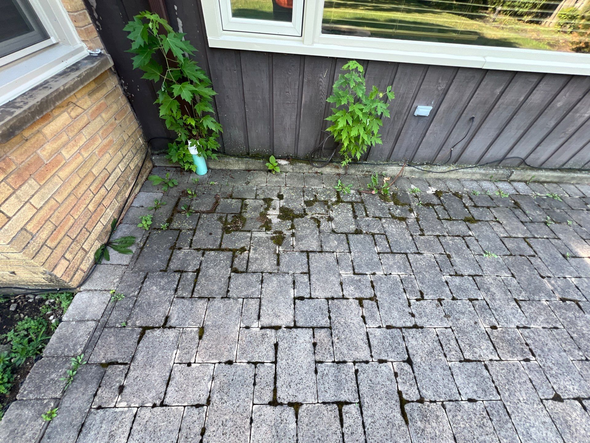 Brick Paver cleaning and sealing by Northern Power Washing LLC.