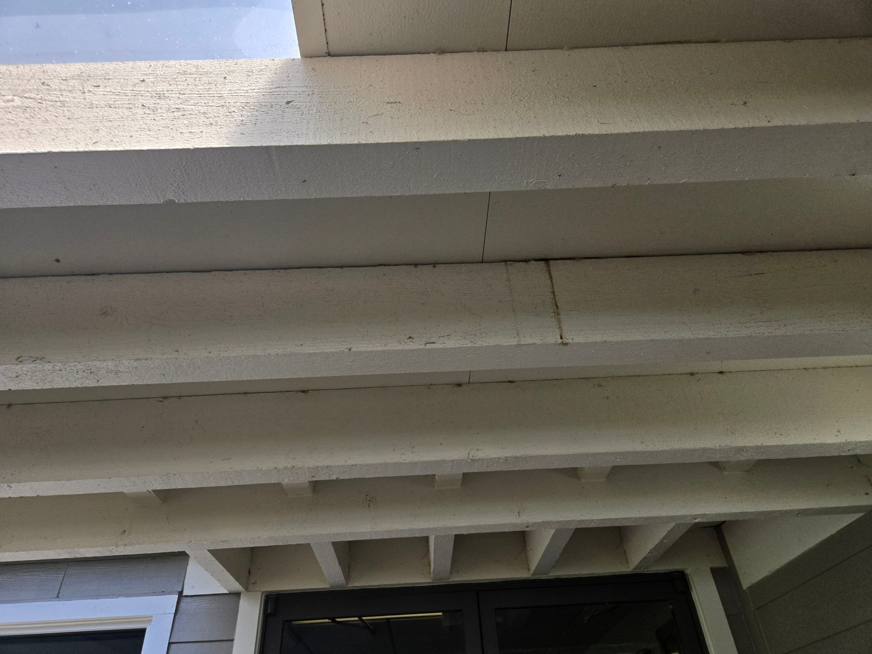 Project in New Port Richey by Serene Construction