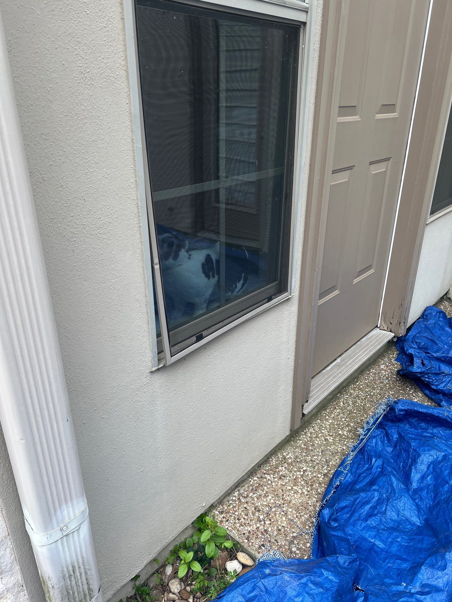 Project in Austin by Rhino Roofing and General Contracting, LLC