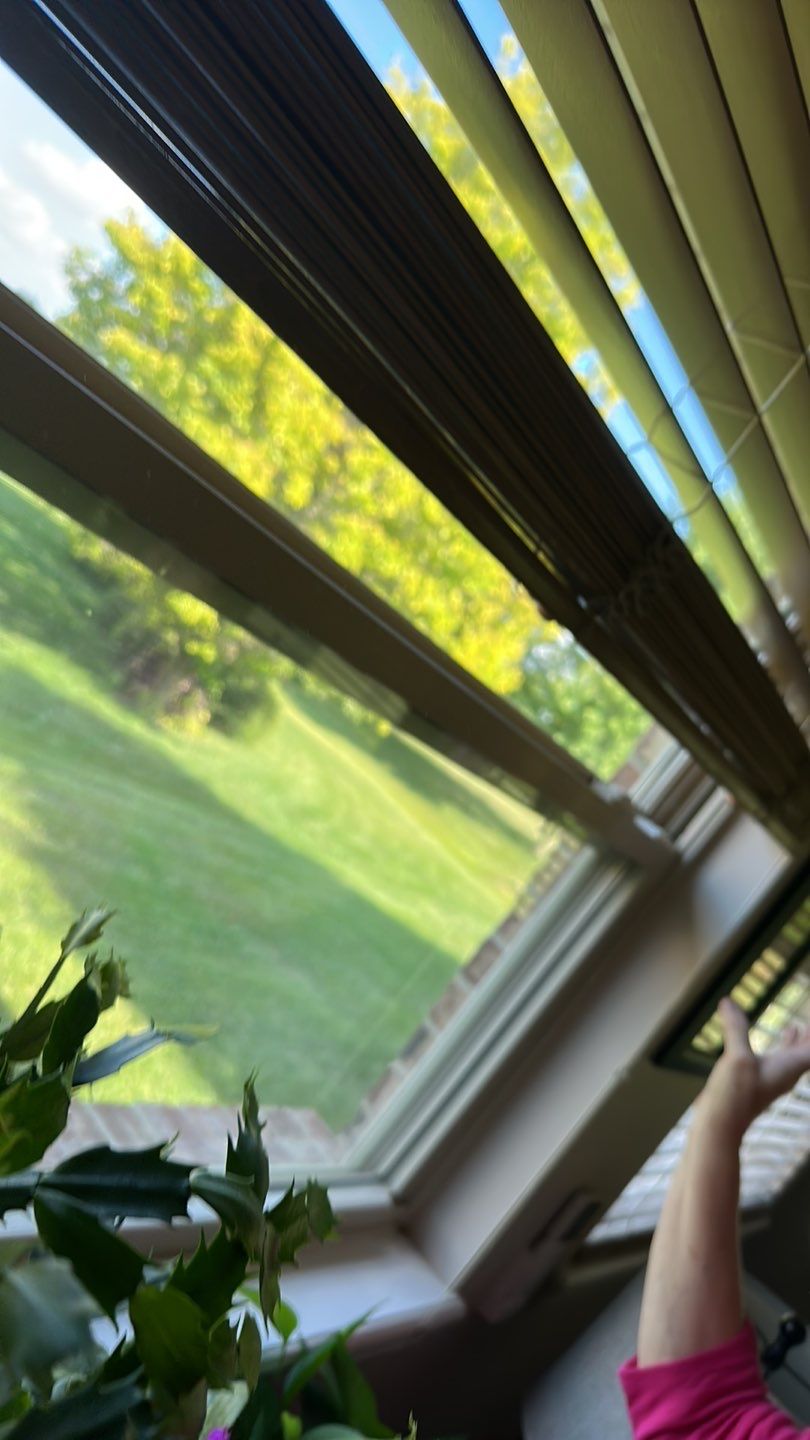 Roof and Windows! by Tamlin Roofing