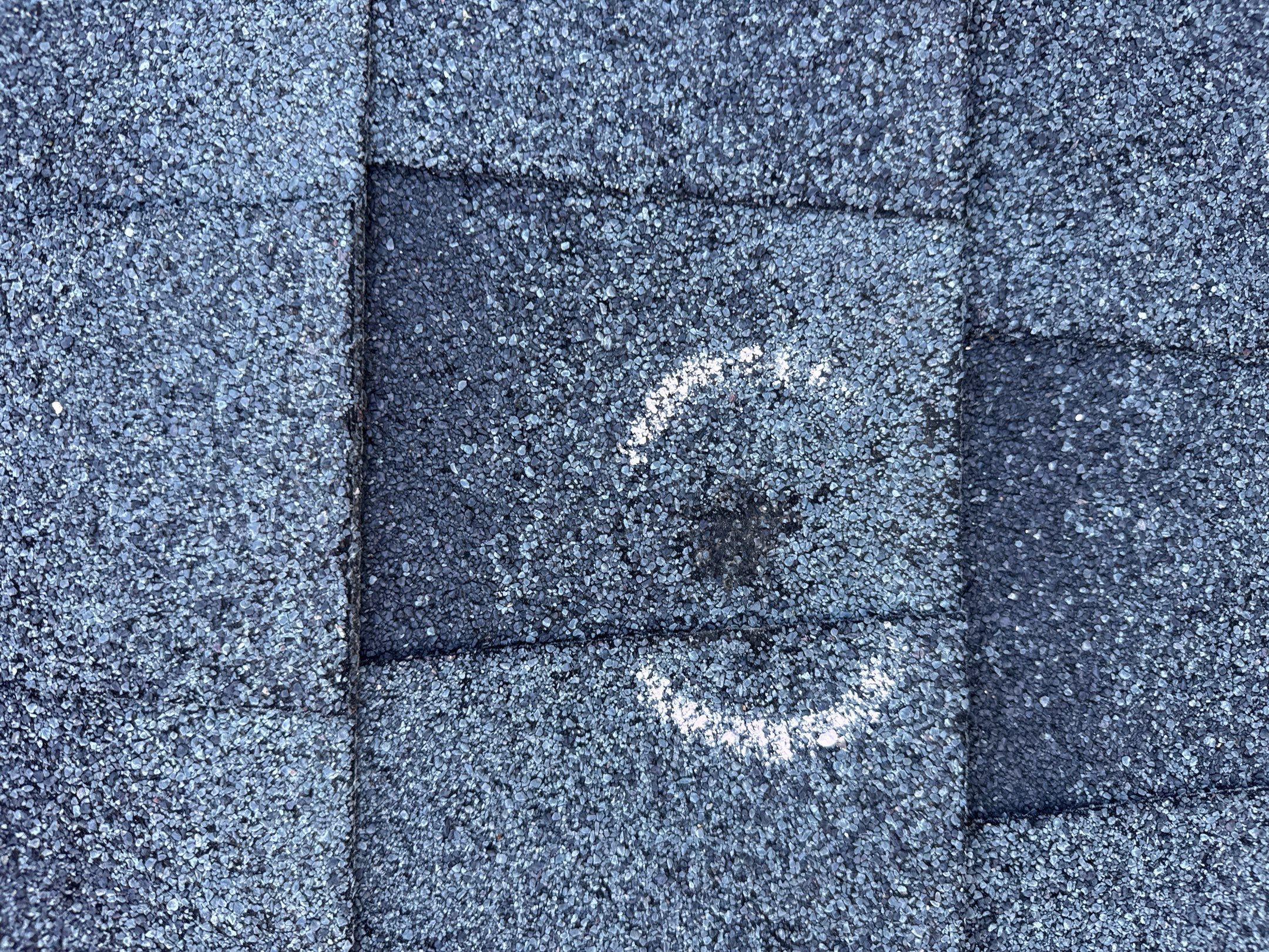 Chyleen Feagin by Tru-Built Roofing
