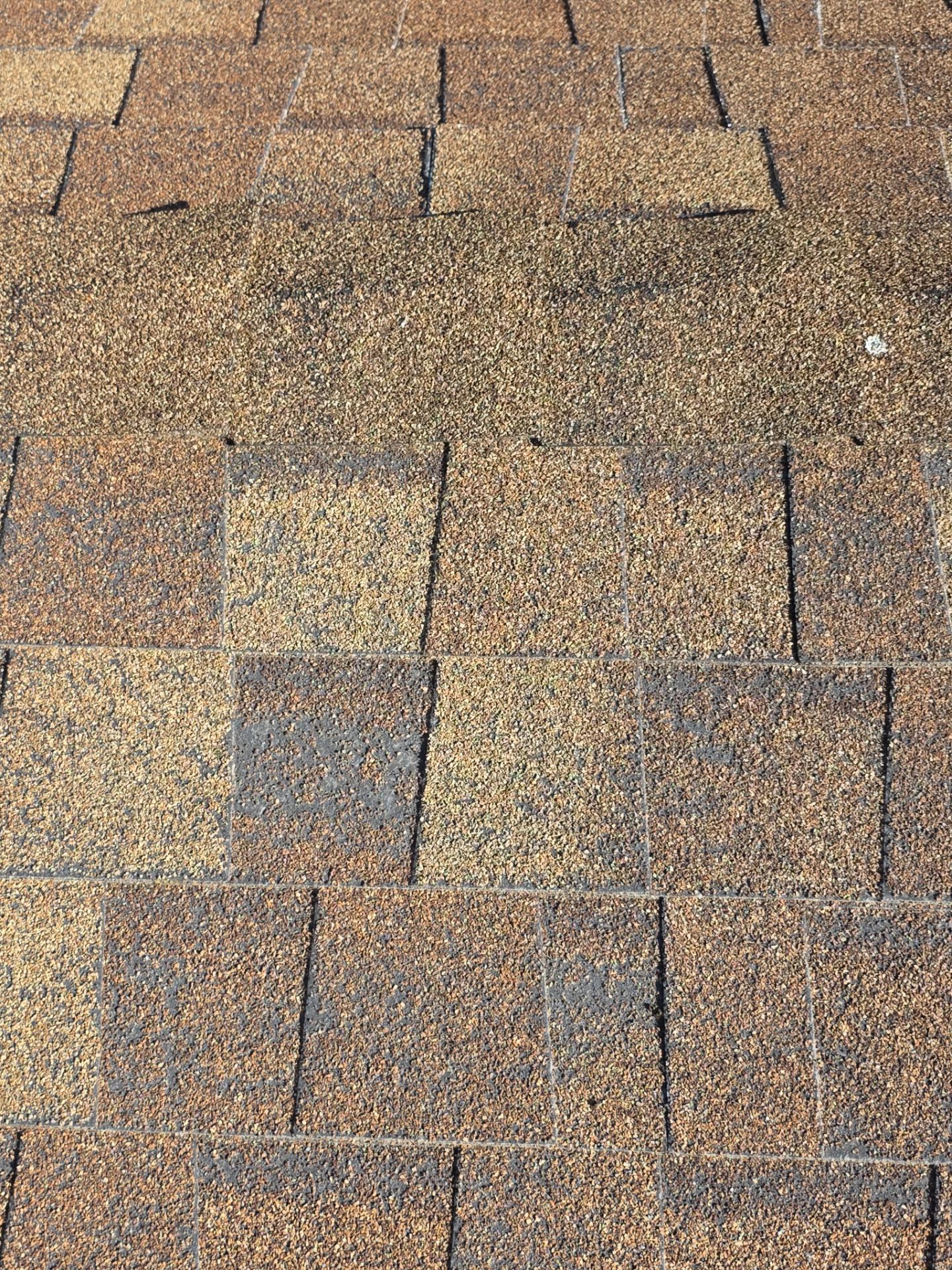 Roof Rejuvenation using Roof Maxx Treatment by Roof Maxx of Folsom