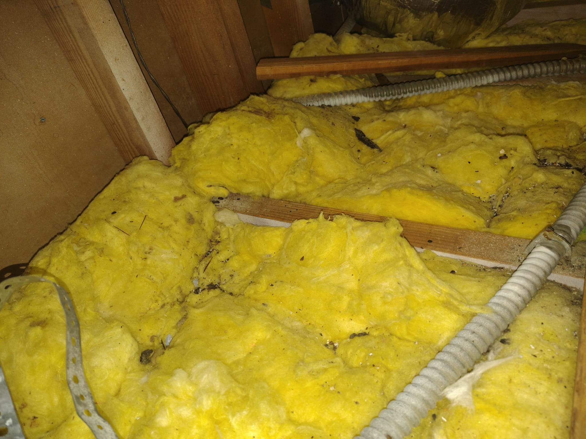 Project in Los Angeles by Advanced Attic Solutions