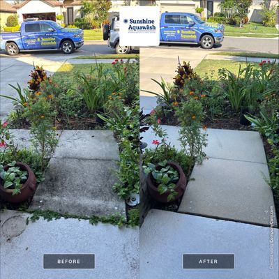 Driveway Cleaning in Palmetto, FL – Trevesta Community