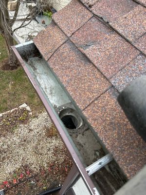 Turtle Shell gutter protection installation in Naperville, IL 60563, photograph 25