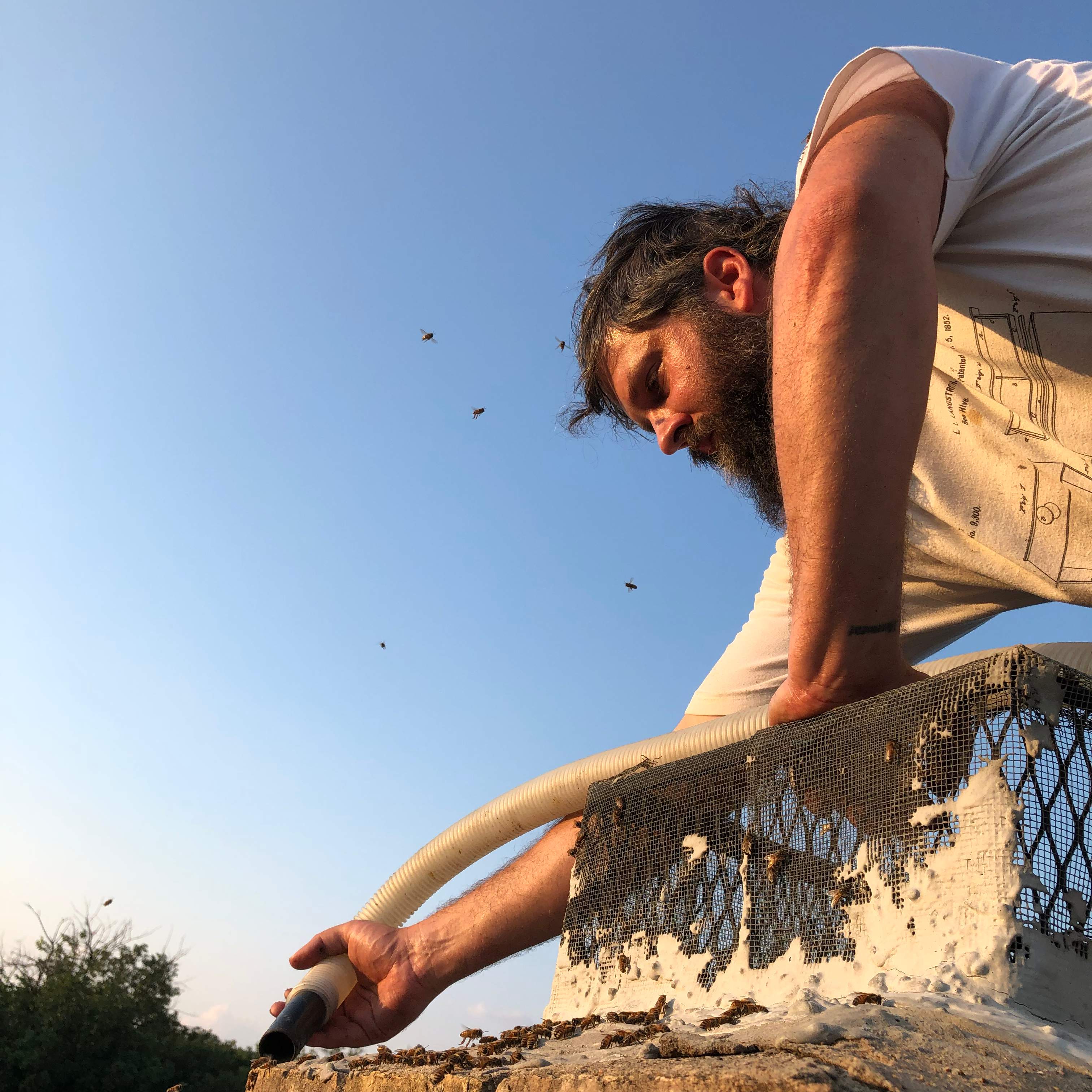 Chimney by Rockwall Honey Bee Company