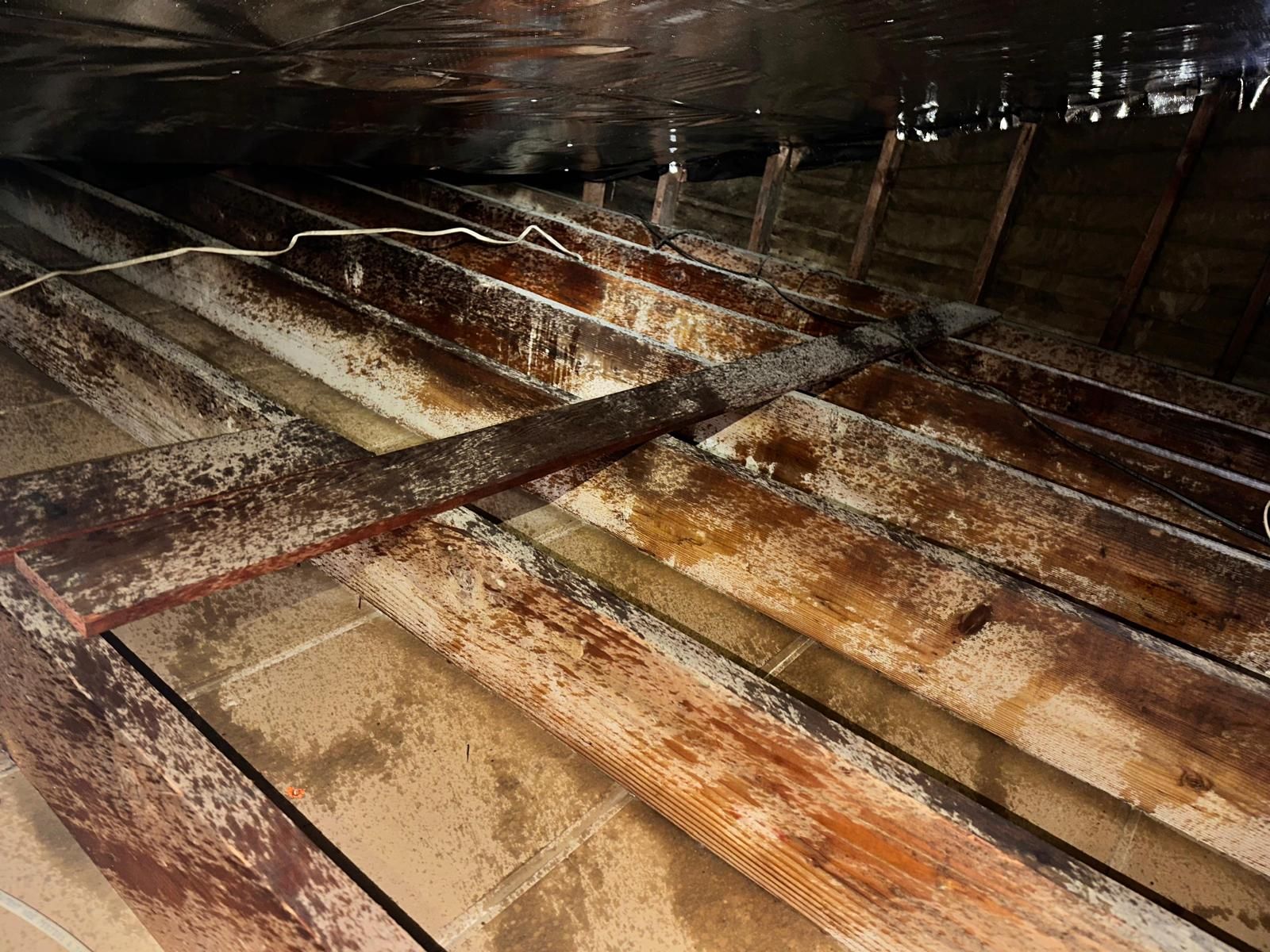 Project in Fullerton by Insulation Labs