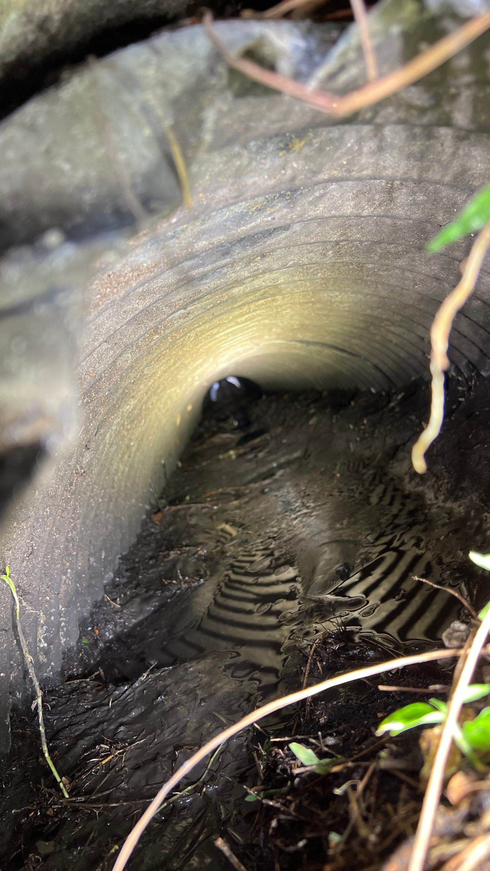 Apartment Complex Storm Water System Cleaning and Maintenance by Don Mar, Inc. Storm Water Solutions