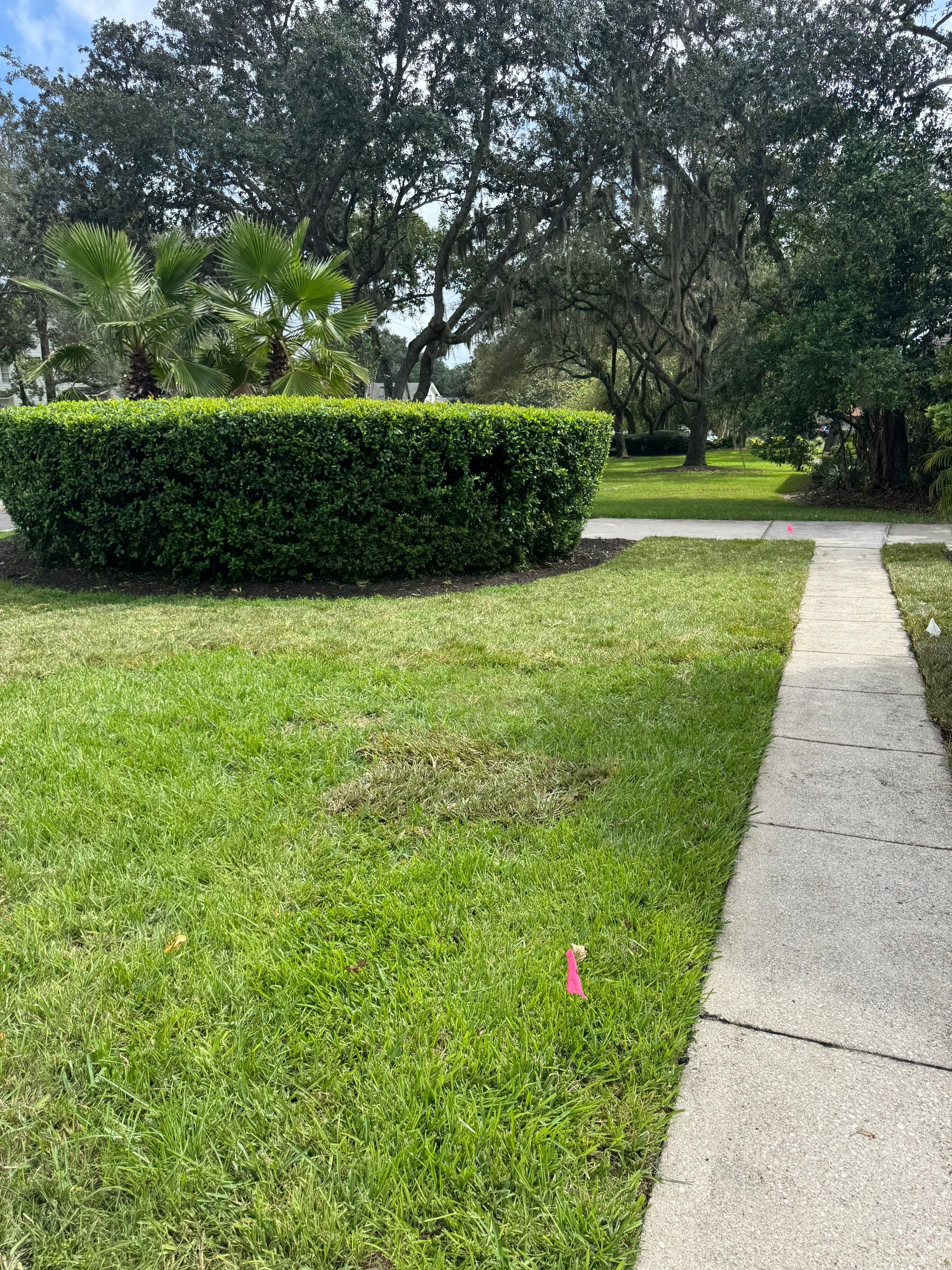 Deerwood Resident | Sod Installation by ProGreen Services