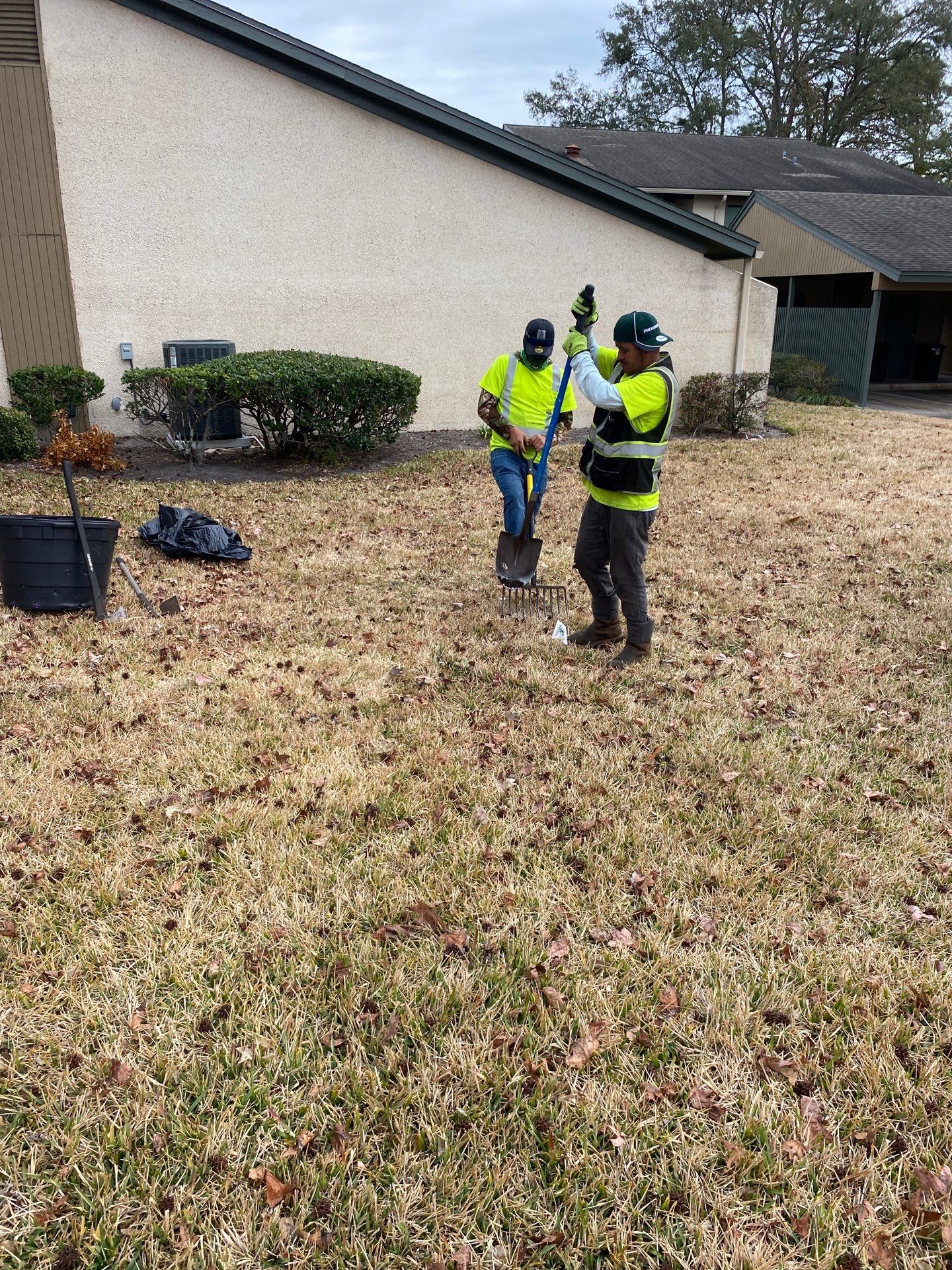 Deerwood Resident | Tree Install by ProGreen Services