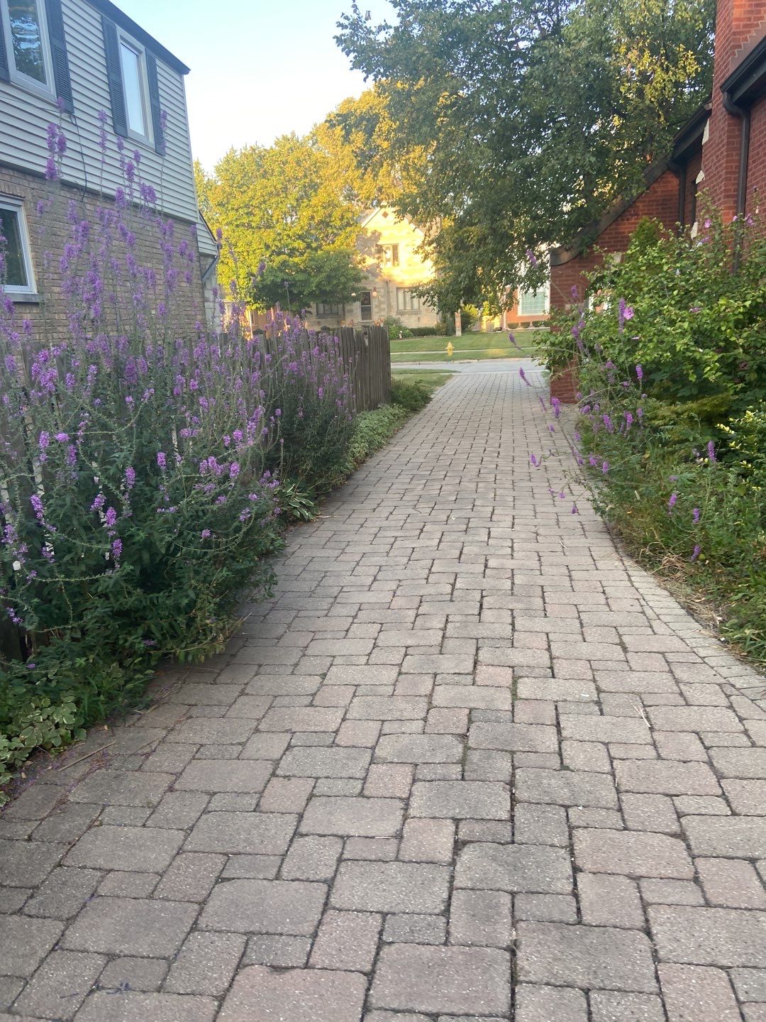 Brick paver clean, sand and seal.  using Surebond SB-1300 by Northern Power Washing LLC.