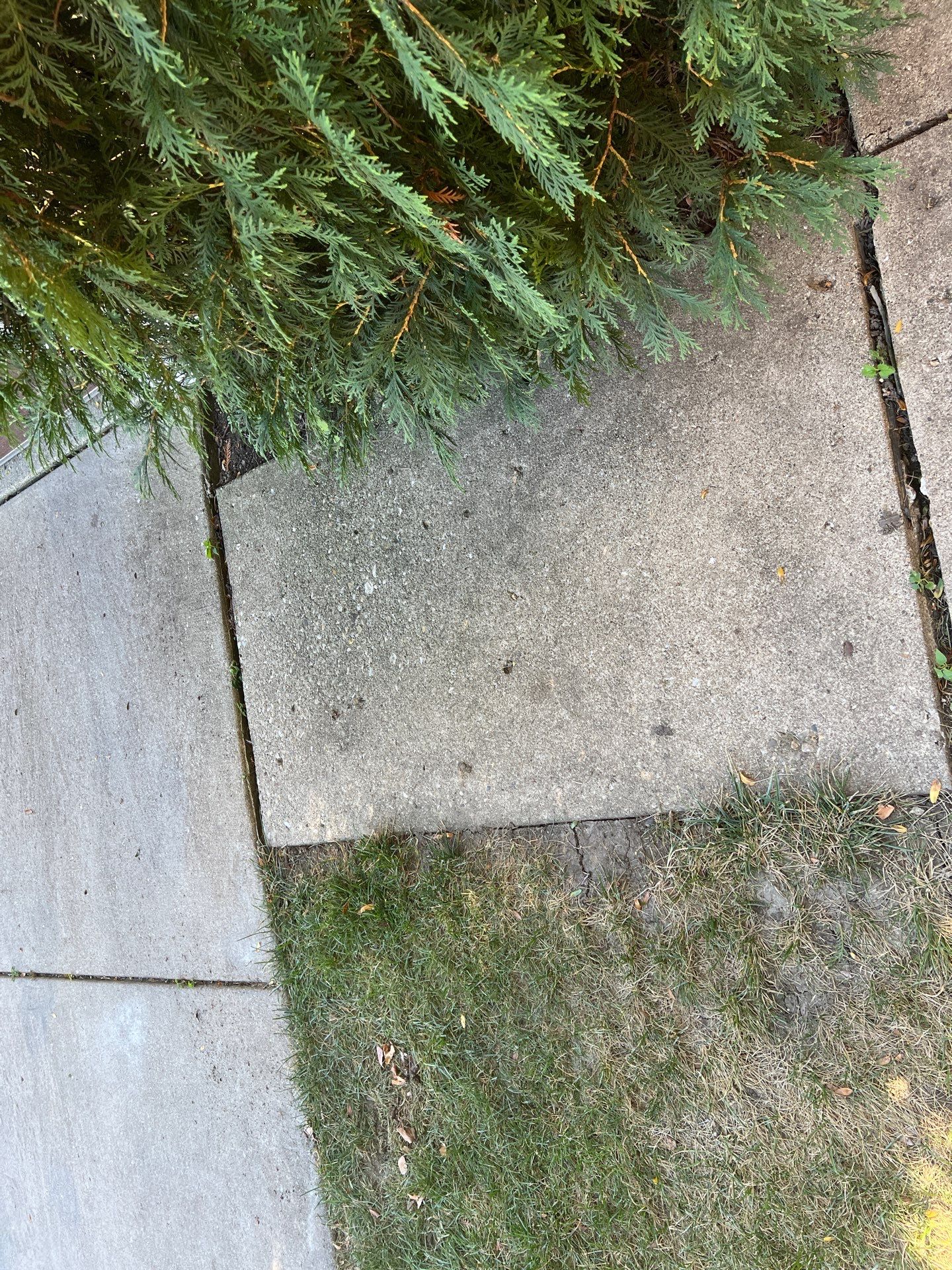 Exterior House Washing & Property Cleaning by Northern Power Washing LLC.