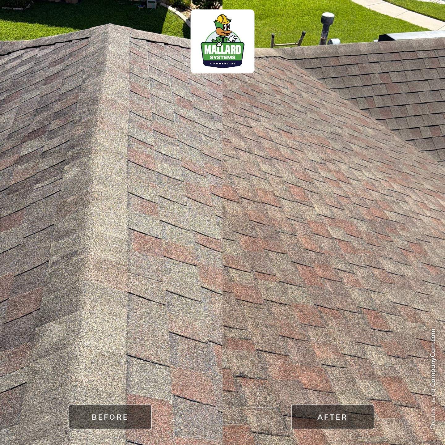 Professional Roof and Exterior Surface Cleaning in Clermont by Mallard Systems