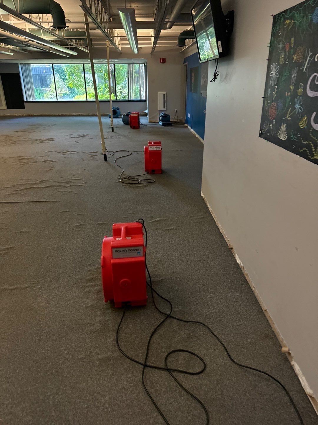 Project in Warren by EzDry Water Mitigation & Property Restoration