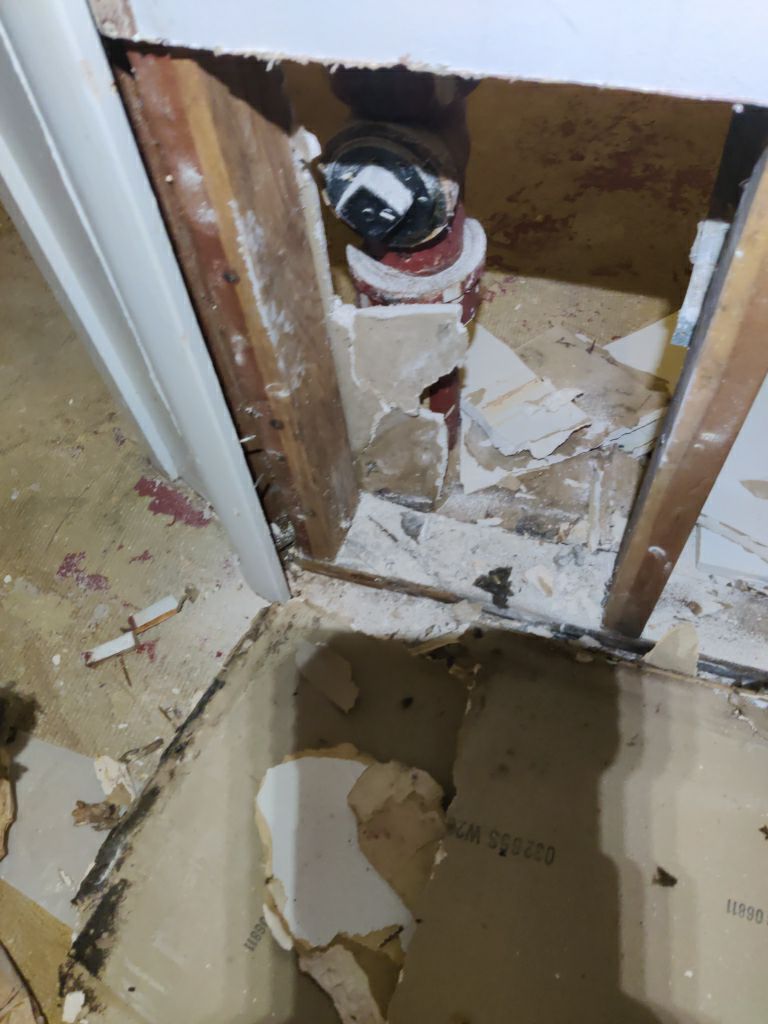 Mold Remediation in Basement by Accountable Home Services